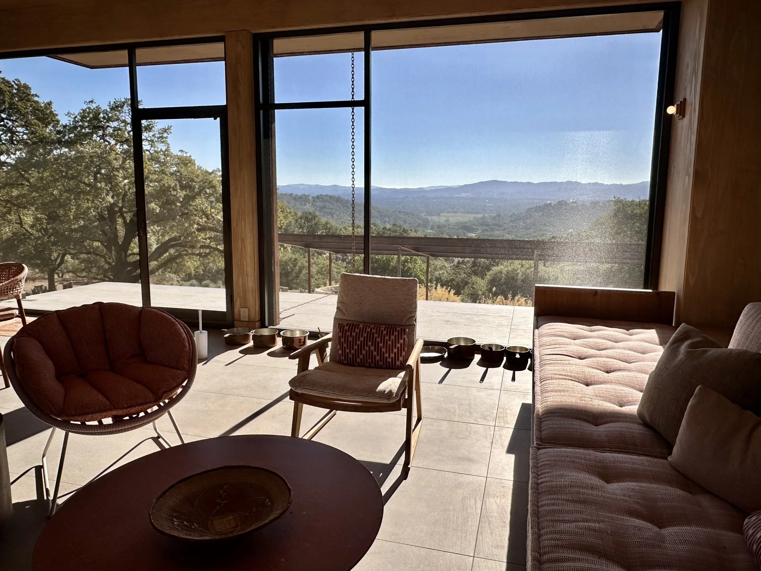 Landscape views from screen porch.