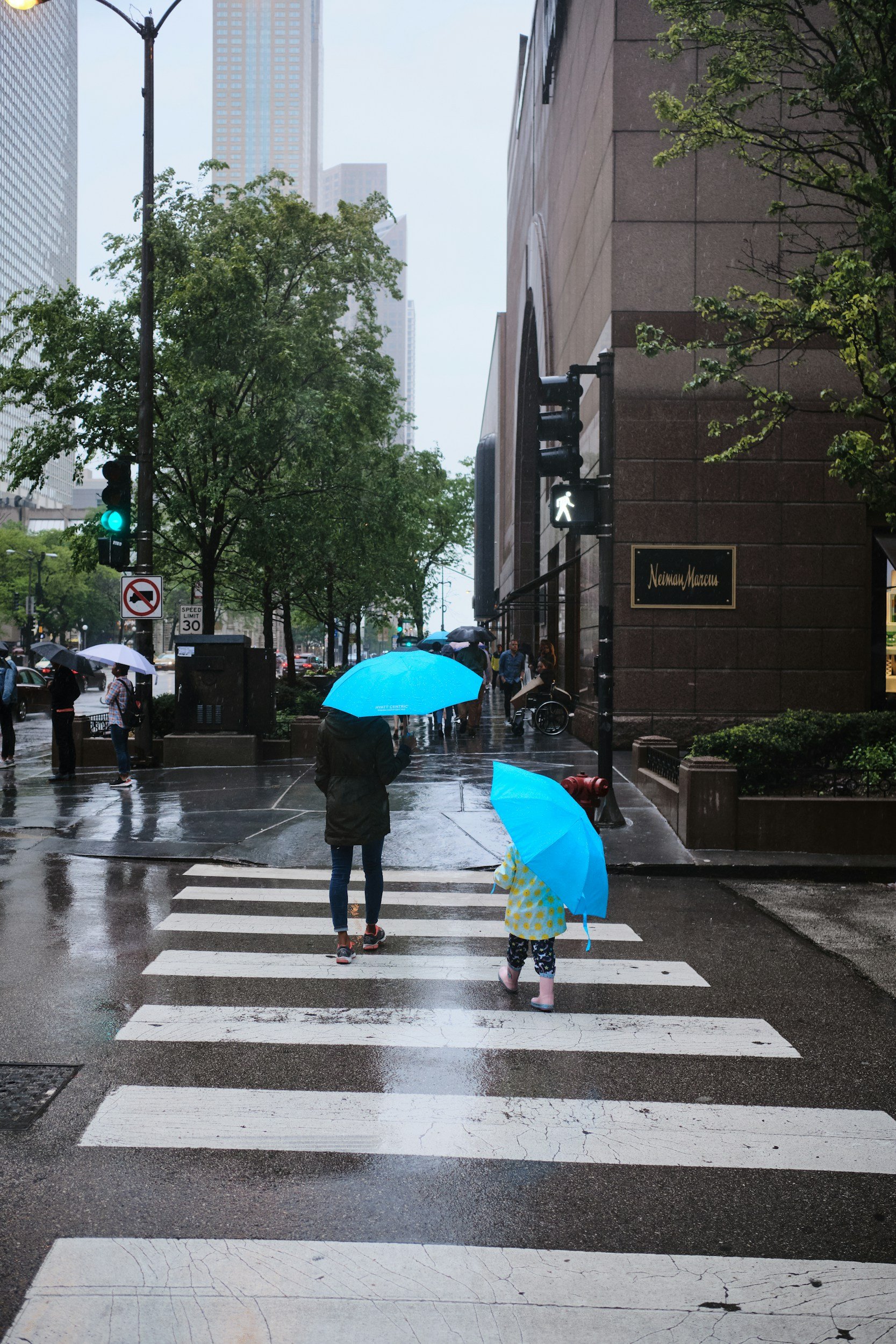 People walking in the rain at a crosswalk in an urban city, carrying umbrellas, with tall buildings and trees around.