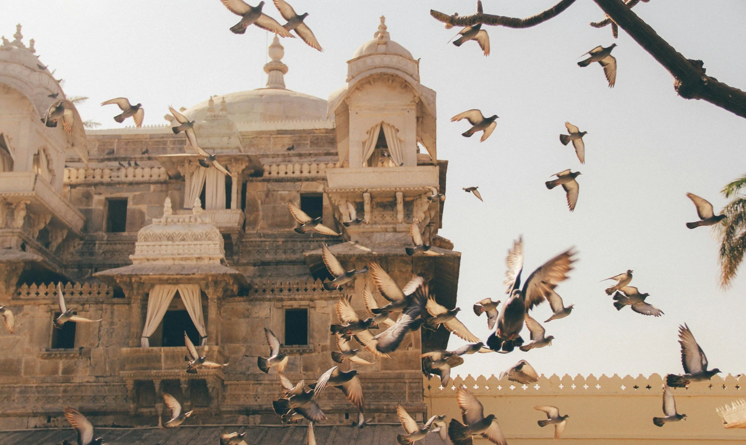 South Asian Therapy: When Achievement Was Survival and Healing Feels Like Betrayal
