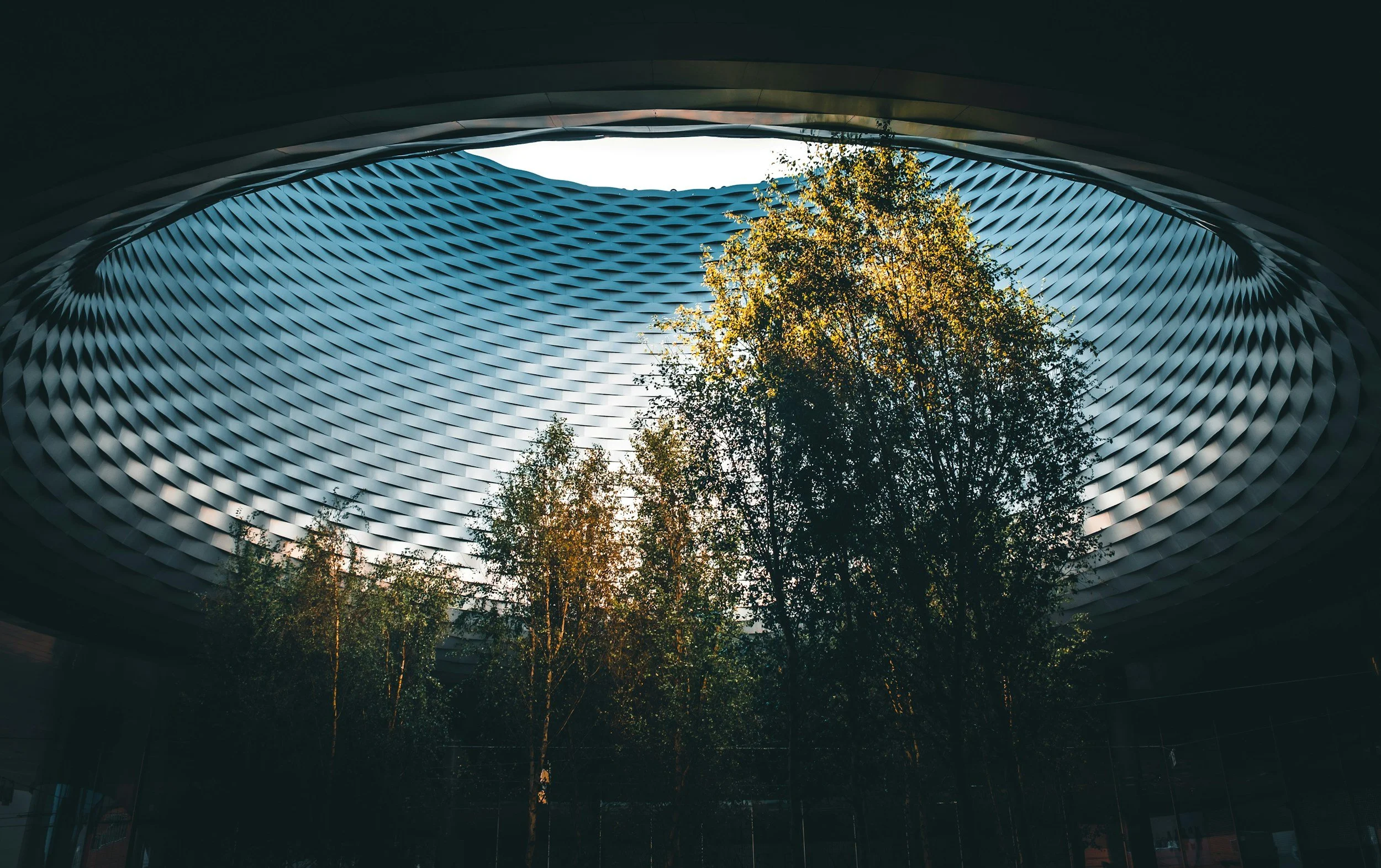 View from inside a curved architectural structure looking upward at a bright sky and trees with yellow leaves.