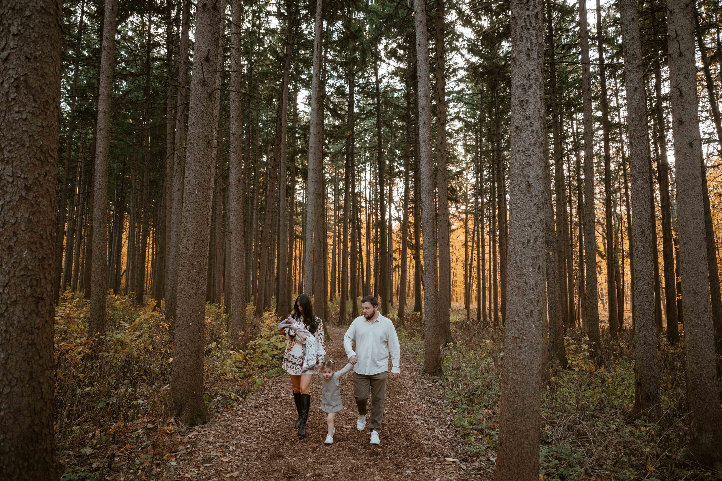 family of four walking in the fall in the pine trees at Morton Arboretum Lisle IL 