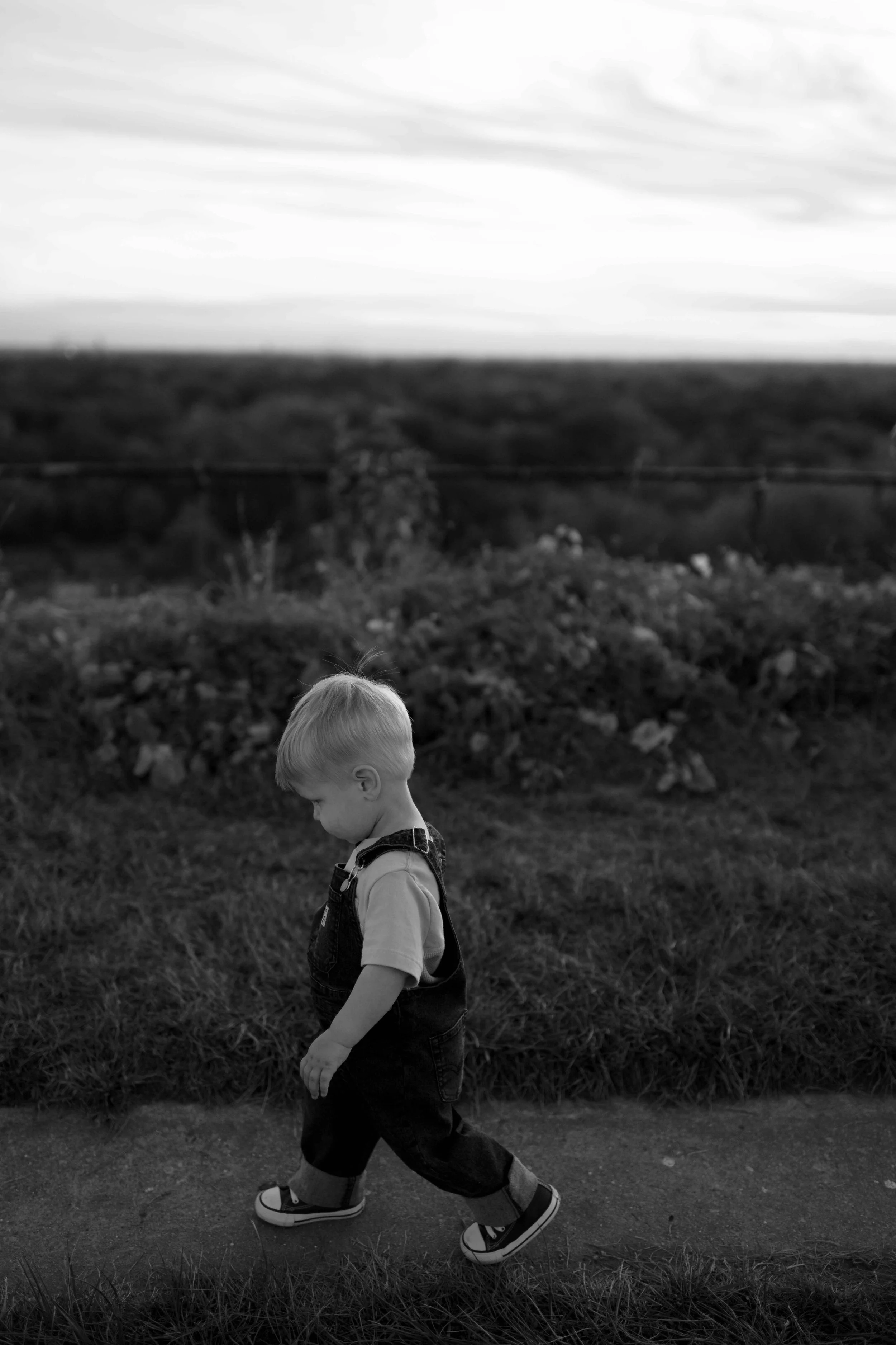 Blackwell-Forest-Preserve-Wheaton-IL-Family-Photos (42).jpg