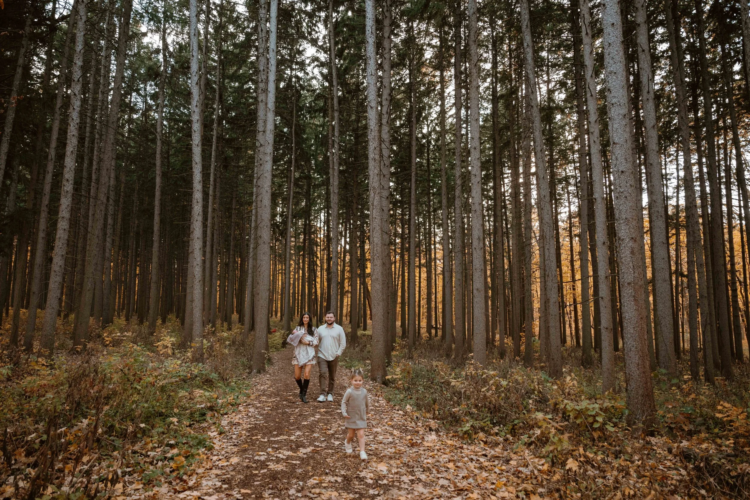 family of four running through pines at Morton Arboretum Lisle IL 