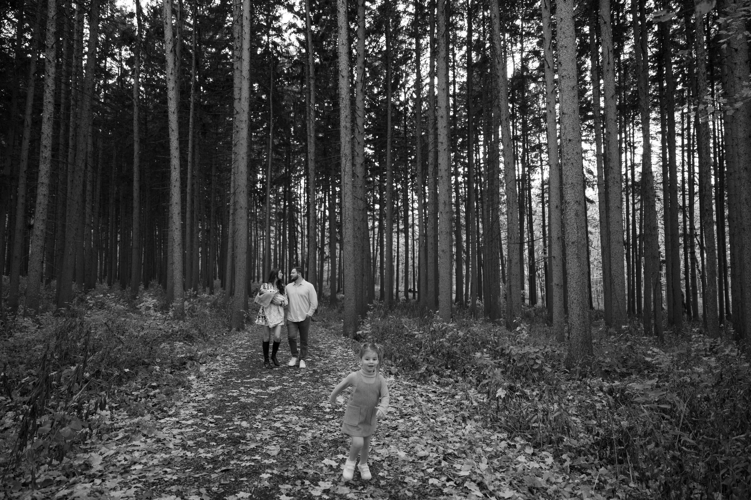 black and white photo of family of four walking in pines at Morton Arboretum Lisle IL 