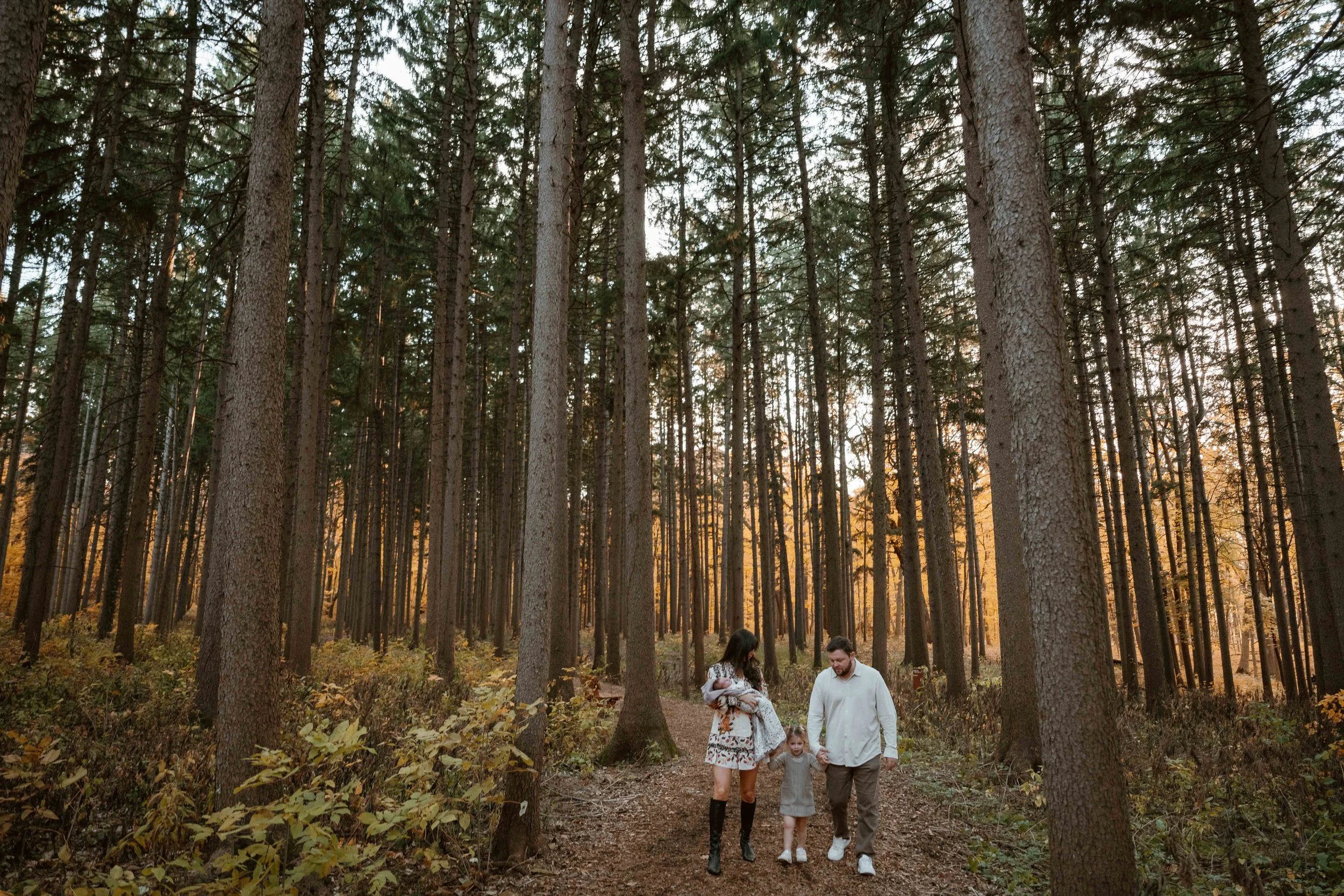 family of four walking in the pines at Morton Arboretum Lisle IL 