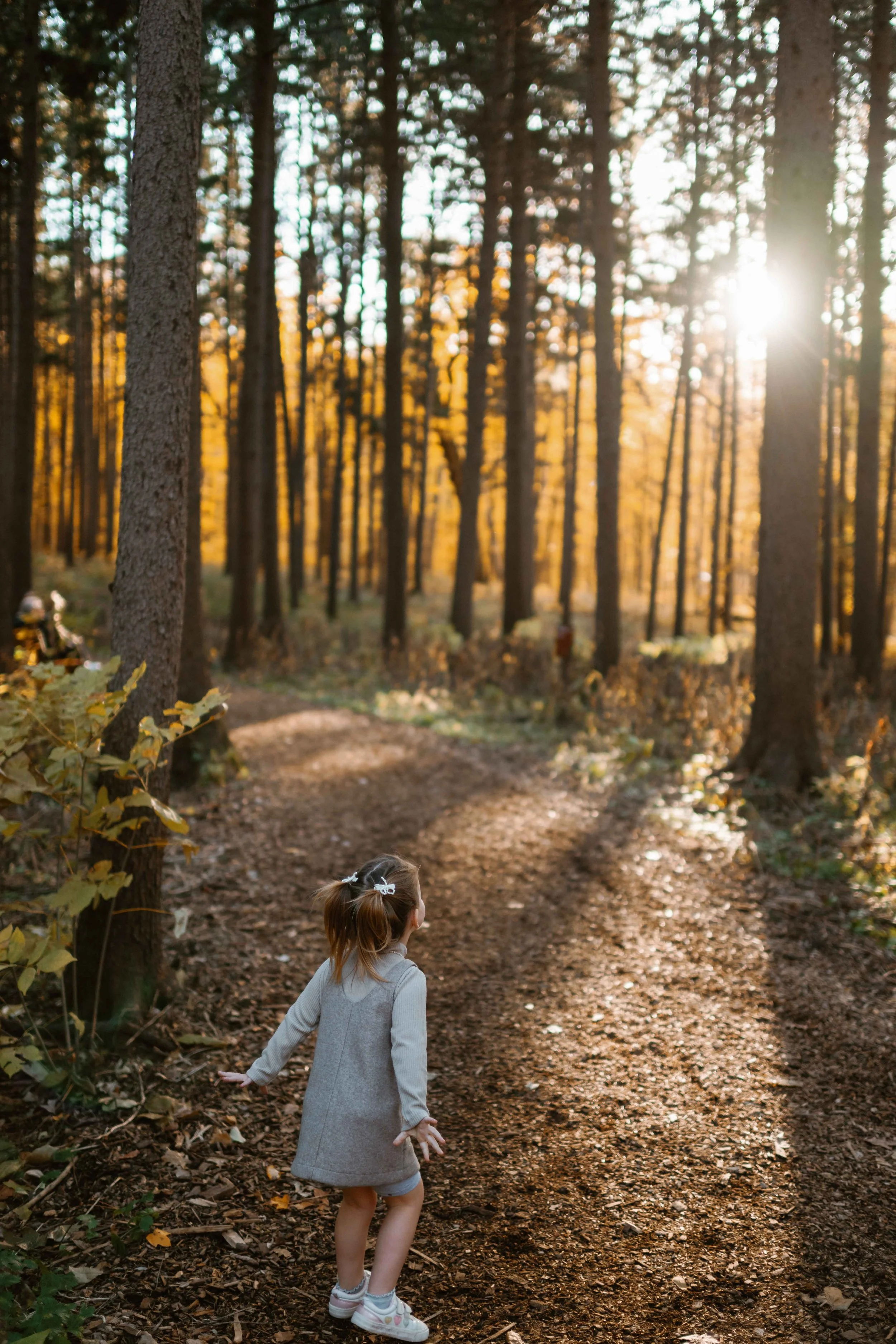 Morton Arboretum Lisle IL girl looking at sunset