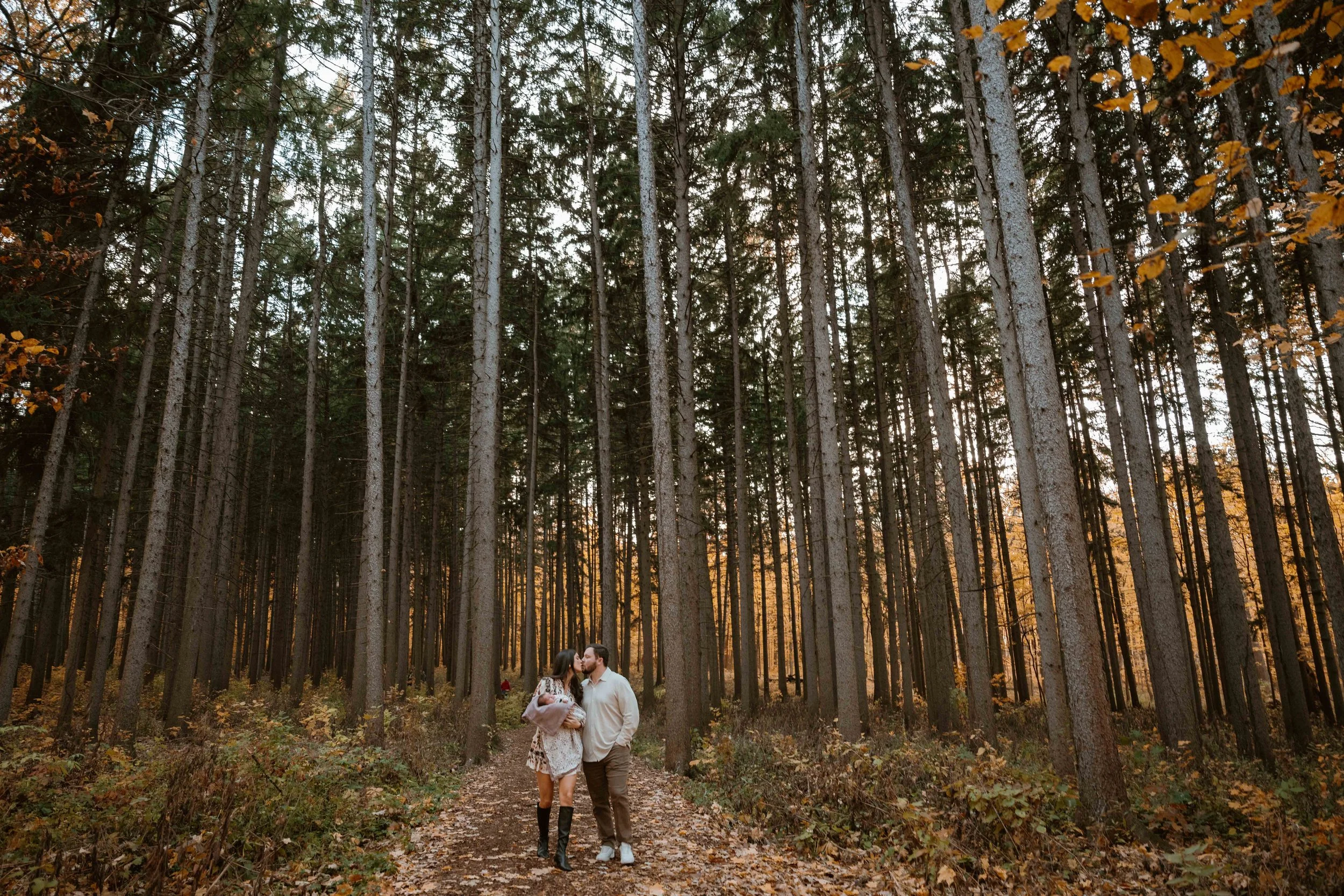 mom and dad kiss in the pines at Morton Arboretum Lisle IL 