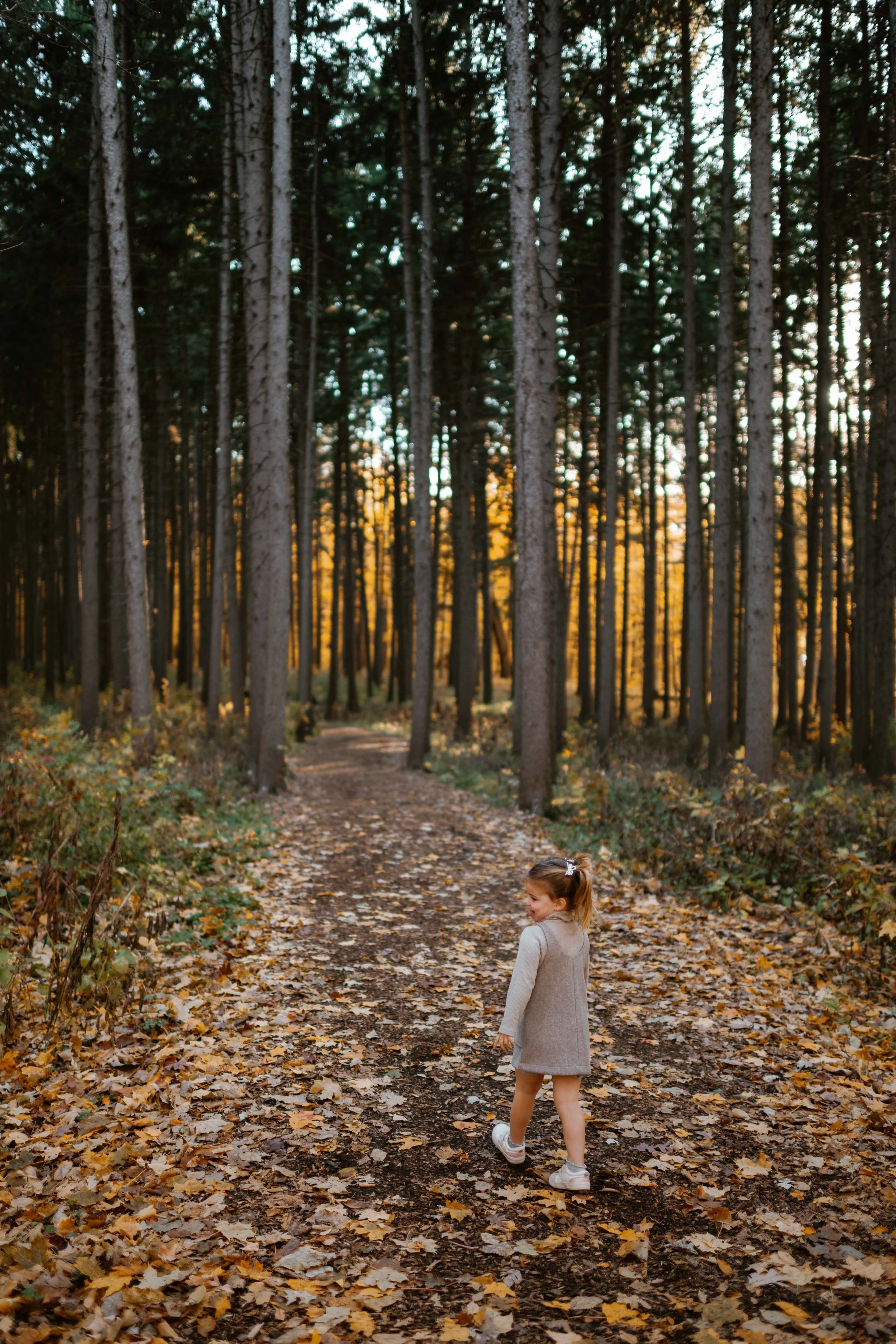 Morton Arboretum Lisle IL family photo toddler girl exploring