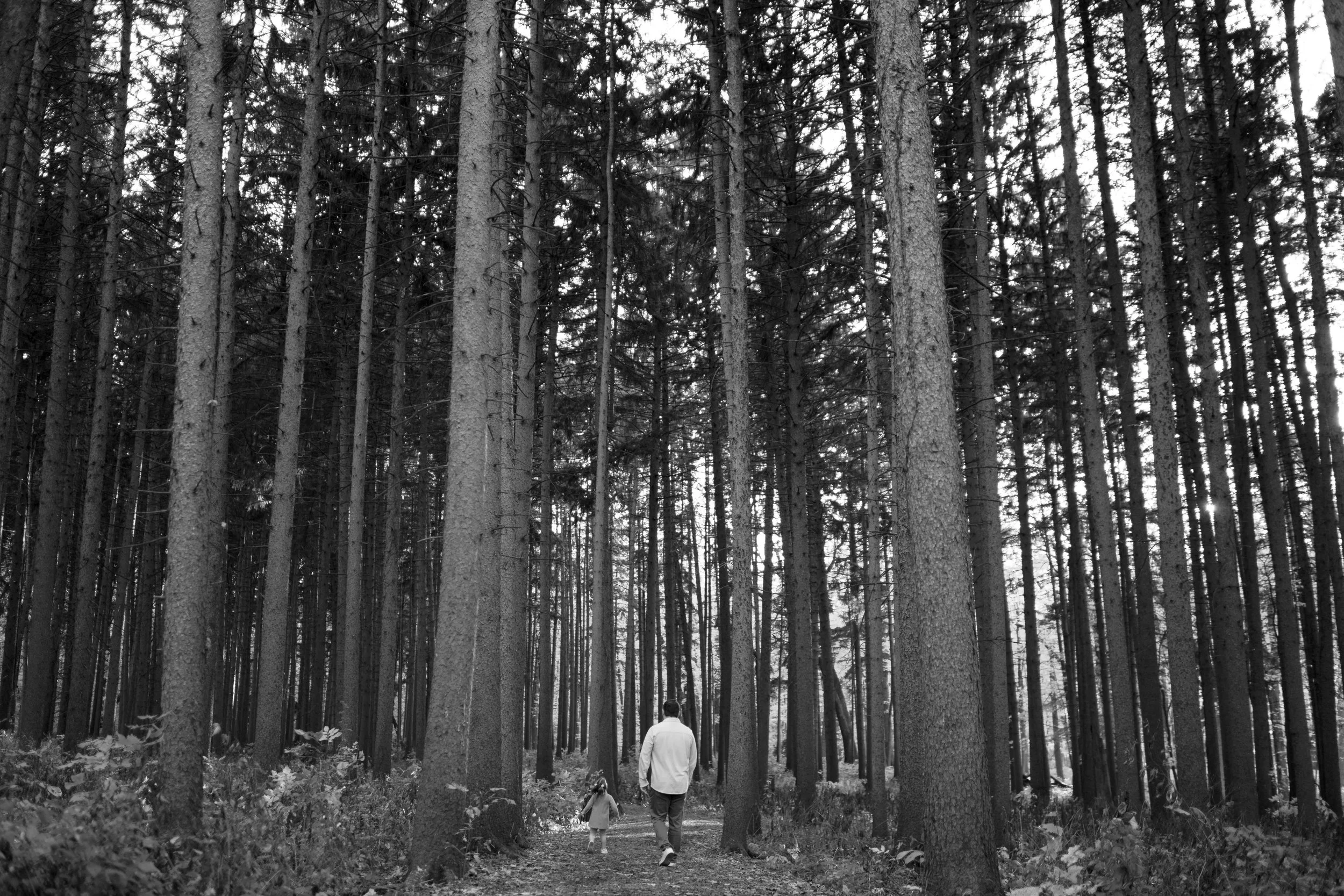 wide shot of daughter and dad walking at Morton Arboretum Lisle IL 