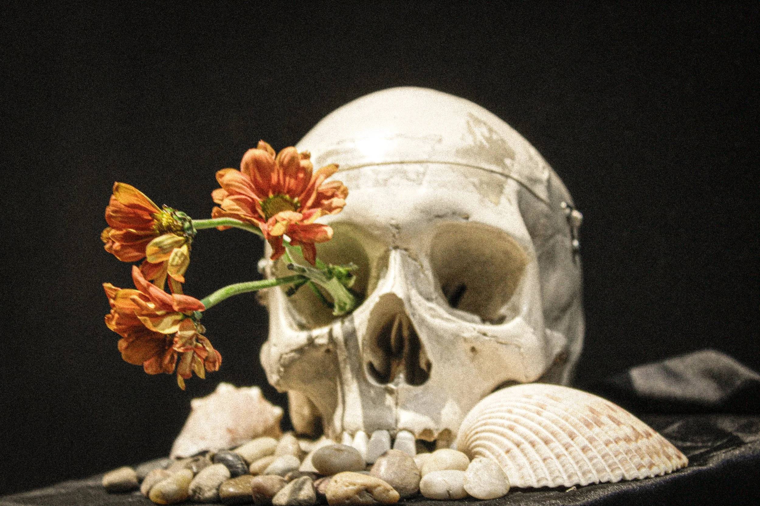 photo2 3.jpg