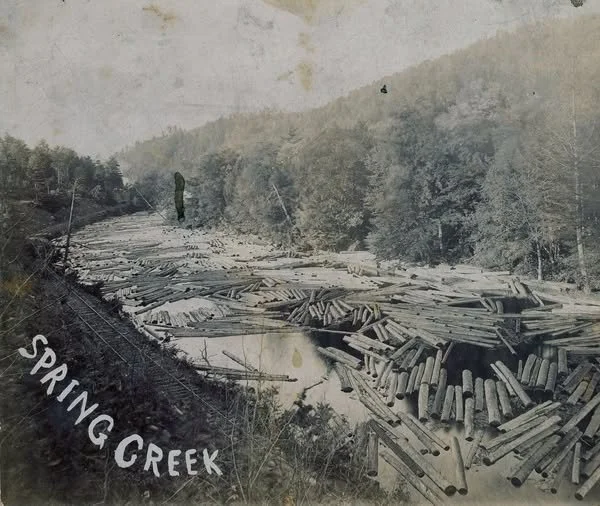 Spring Creek Township log raft