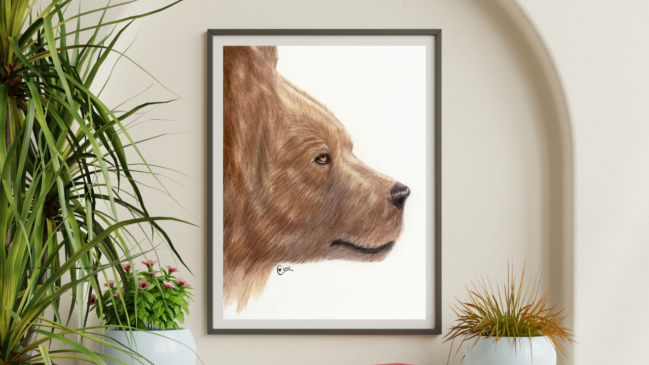 A framed drawing of a bear's face in profile view hangs on a white wall. The bear is brown with a calm expression. To the left, there are green houseplants in white pots, and to the right, another plant in a white pot with long, thin leaves.
