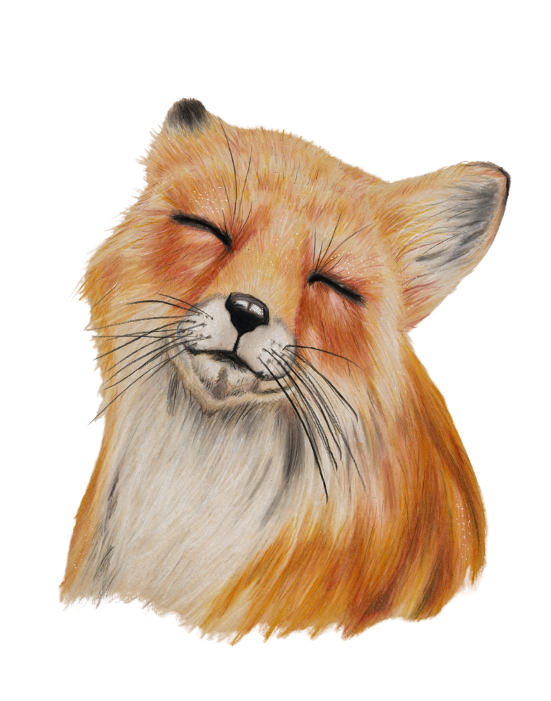 Illustration of a smiling, happy fox with its eyes closed and head tilted slightly to the side.