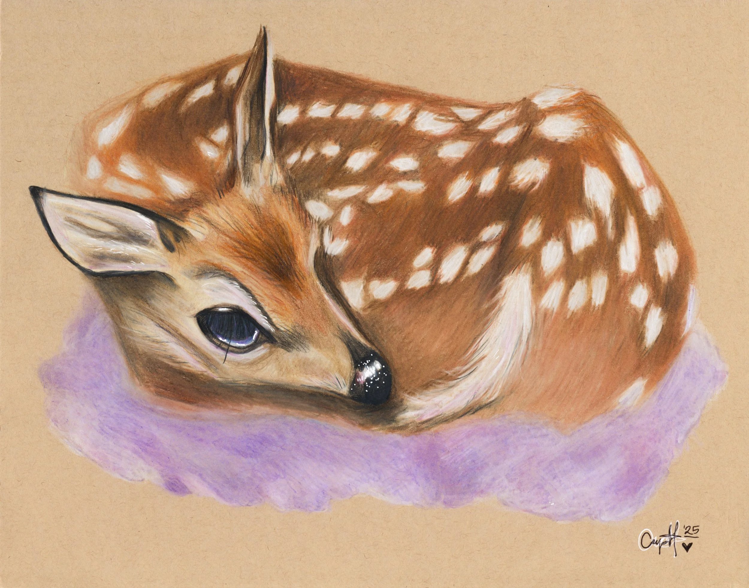 fawn.jpg
