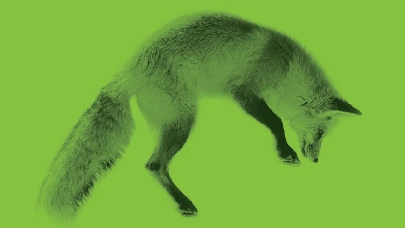 FOX+ASSOC.