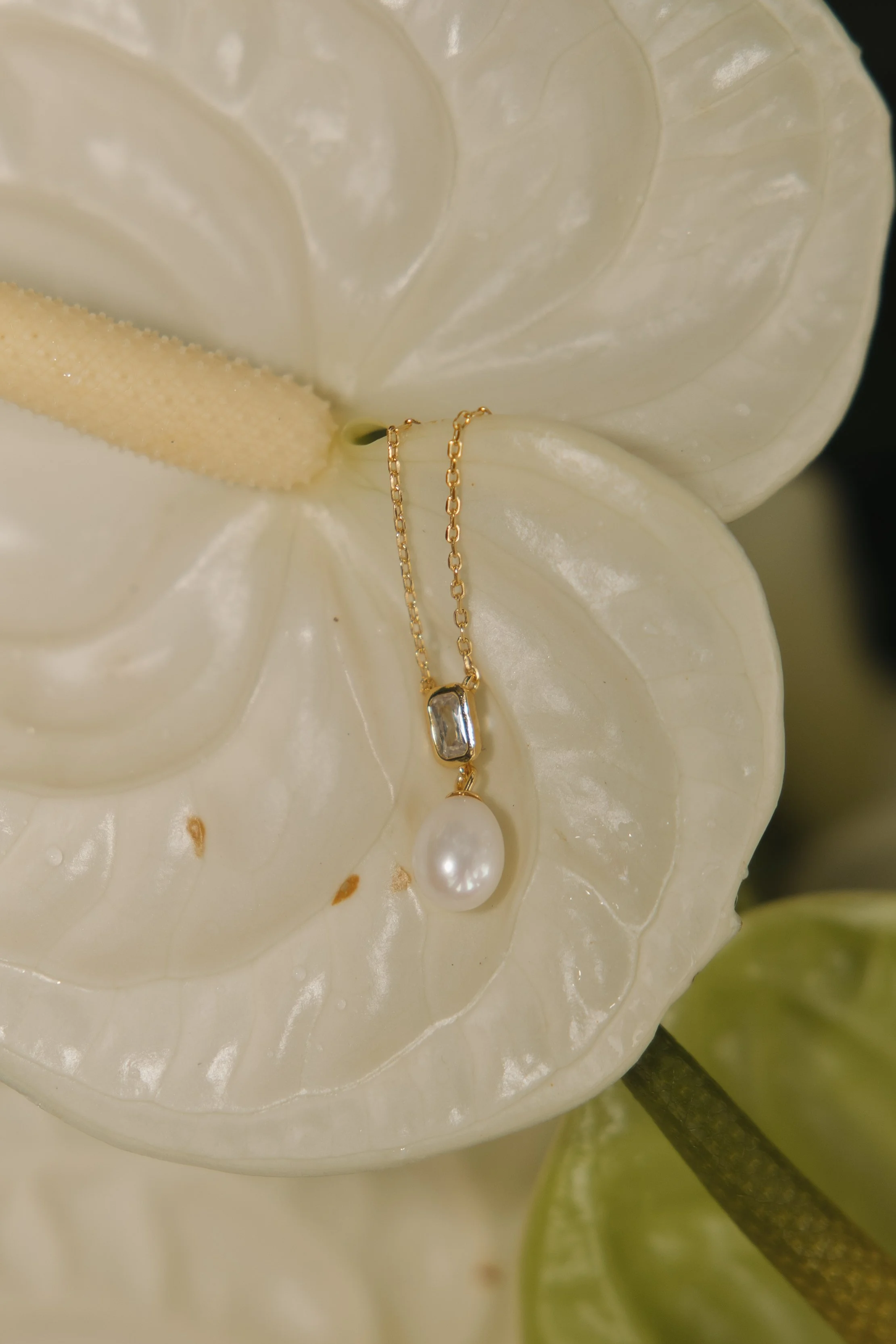 MADALENA & CLÁUDIO-29_MARIANATOMAZPH.jpg