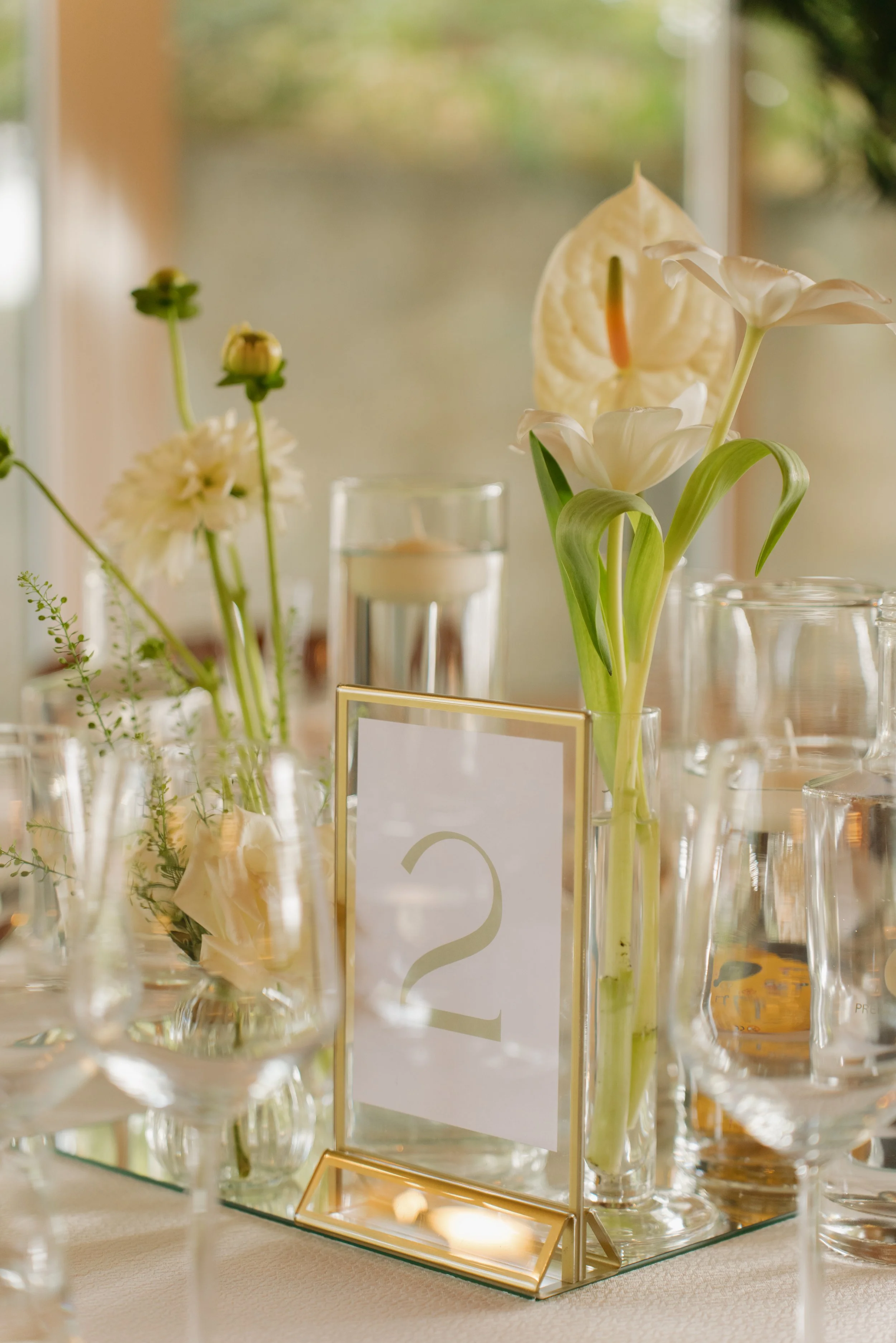 MADALENA & CLÁUDIO-938_MARIANATOMAZPH.jpg