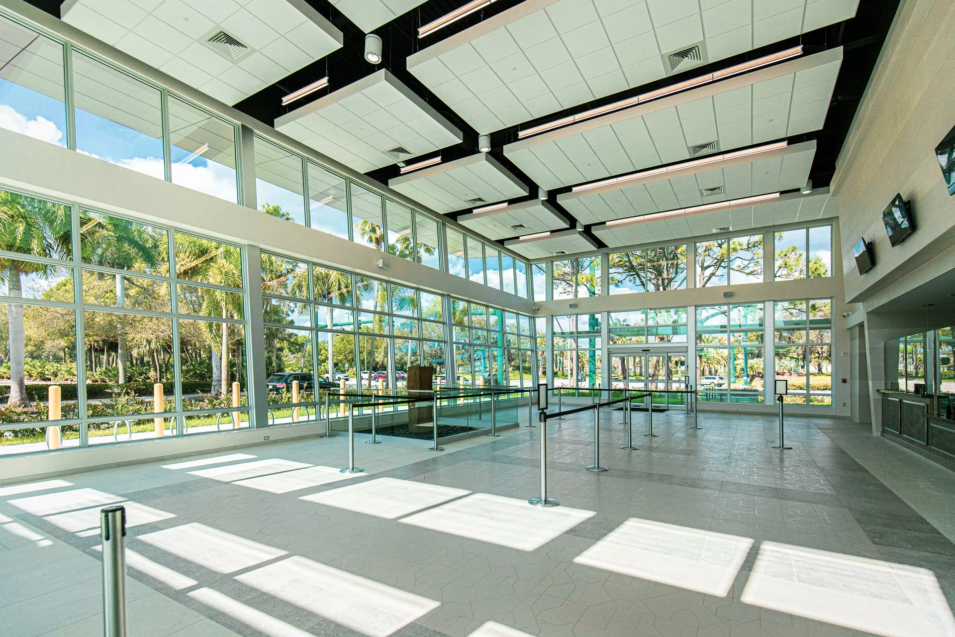 NPBTaxCollector-2 small.jpg