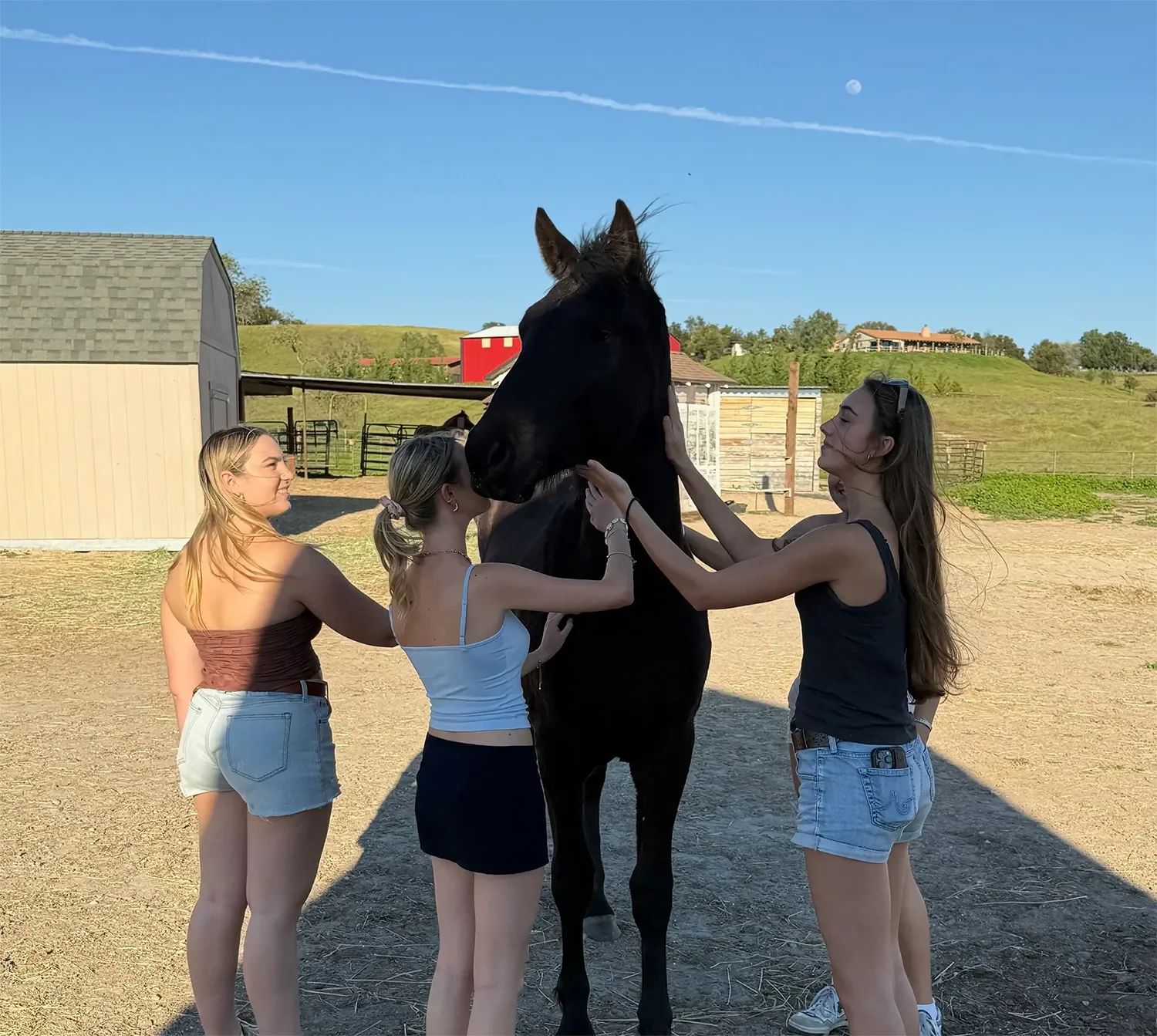 Three women petting a large black horse on a sunny farm with buildings, hills, and a clear blue sky in the background.