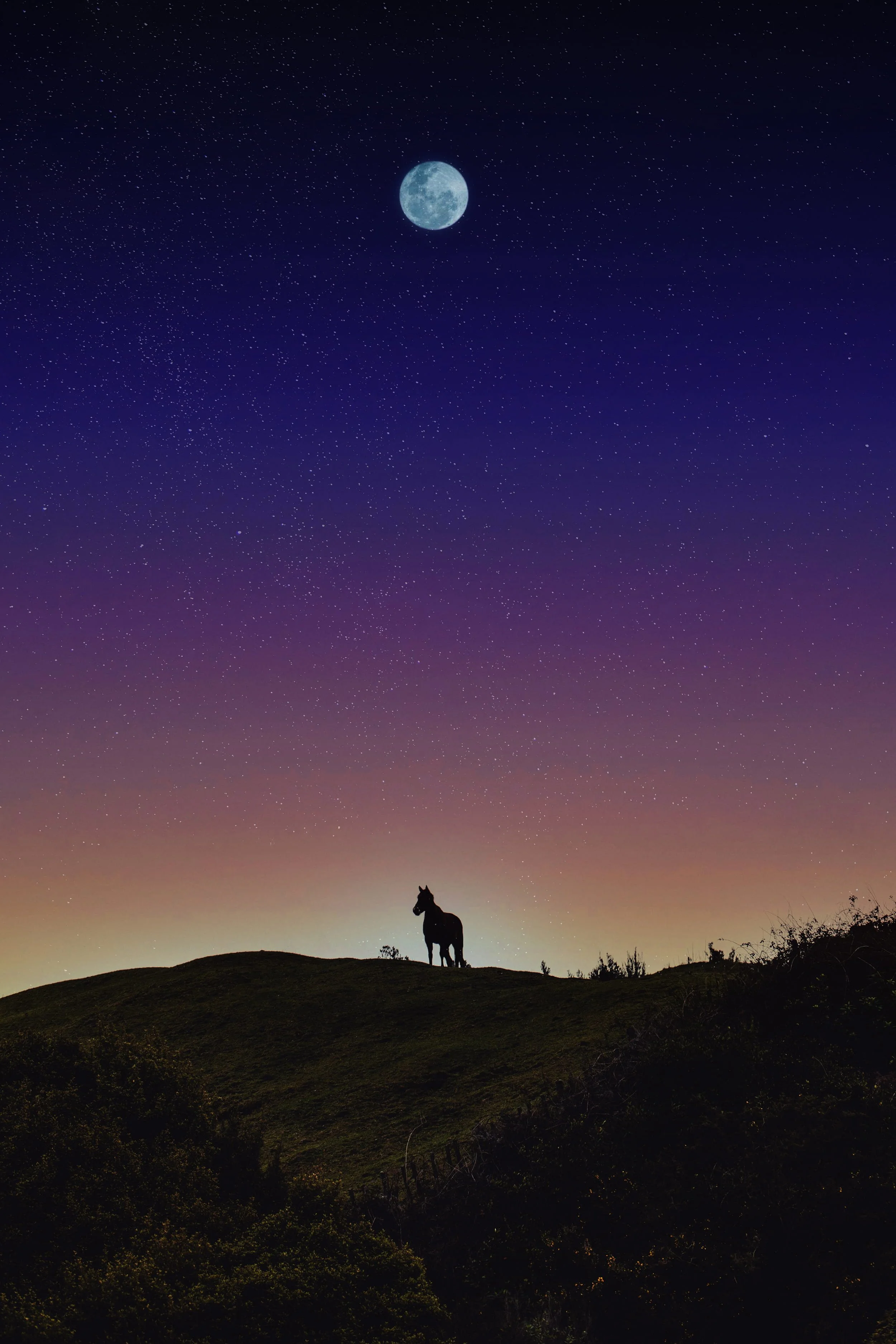Silhouette of a horse on a hilltop under a starry night sky with a large full moon.