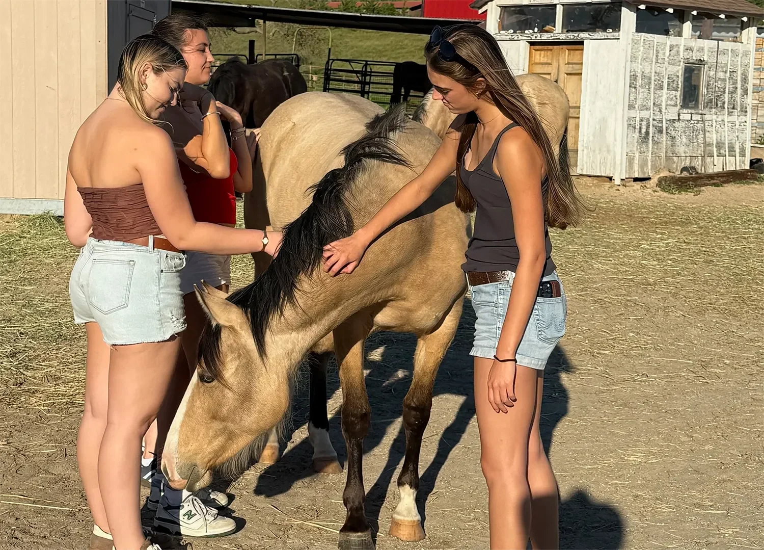 Three young women petting a light brown horse with a black mane at a farm.