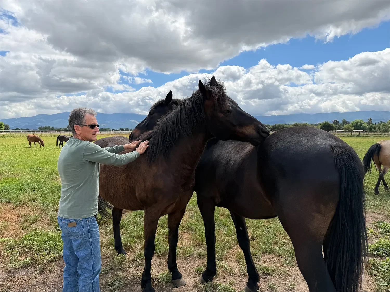 A man with gray hair and sunglasses petting two dark brown and black horses in a green pasture under a partly cloudy sky with mountains in the distance.