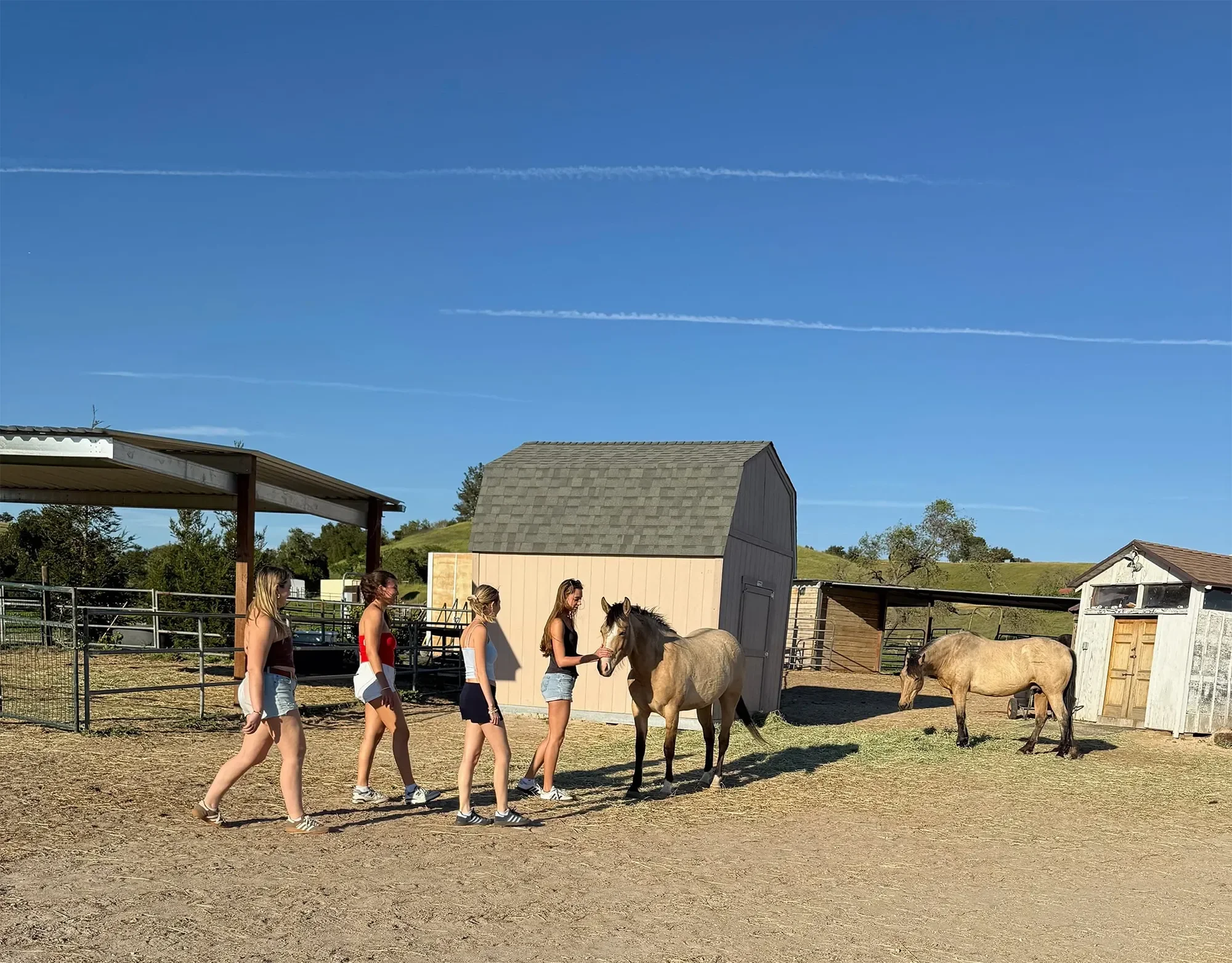 Four young women walking in a line on a farm, one leading a horse, with another horse grazing nearby, all under a blue sky with contrails.