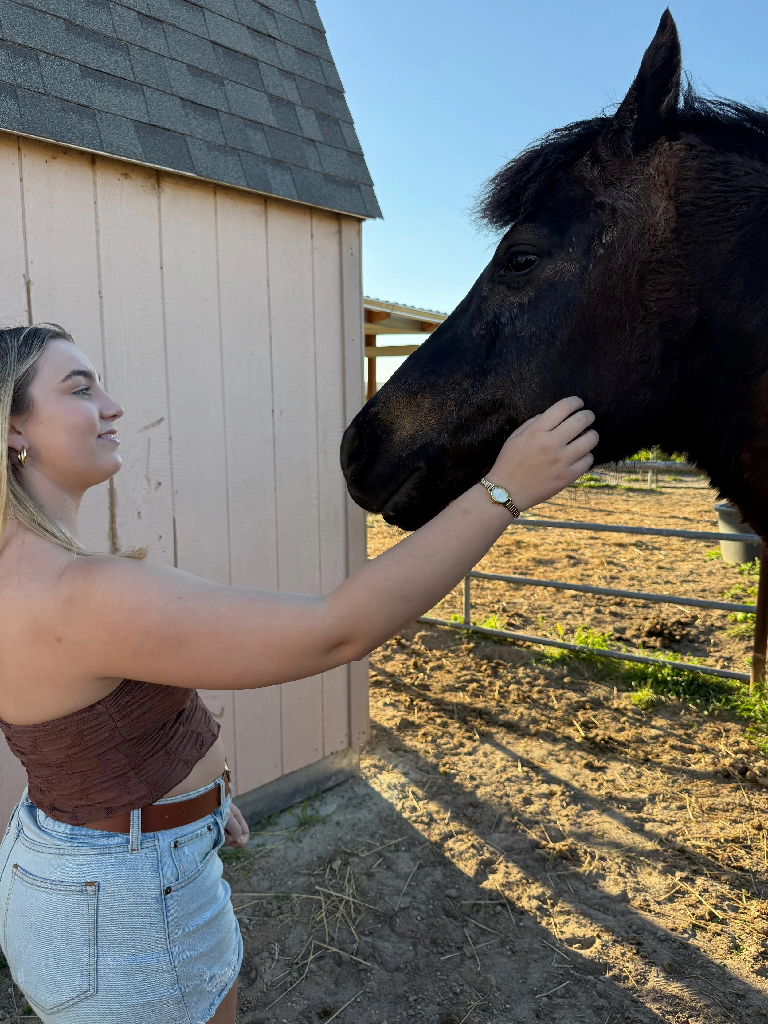 Monday or Wednesday Horse experience