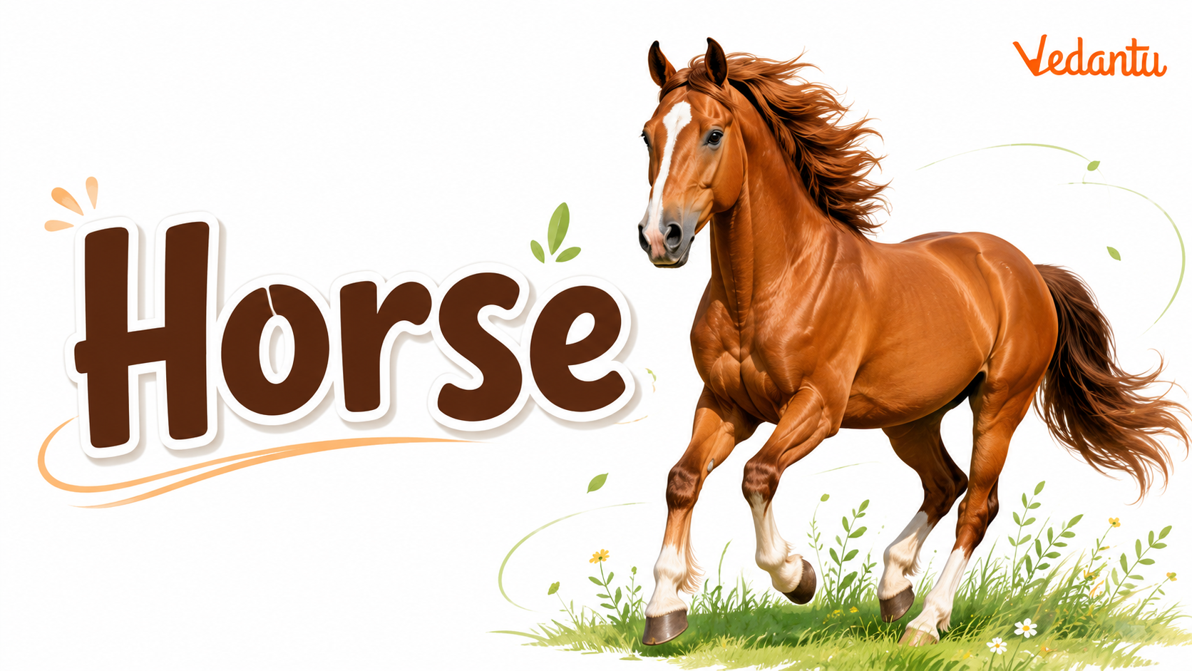 70ba3706-0001-4051-8815-6a4ef1f3395f_Horse.png