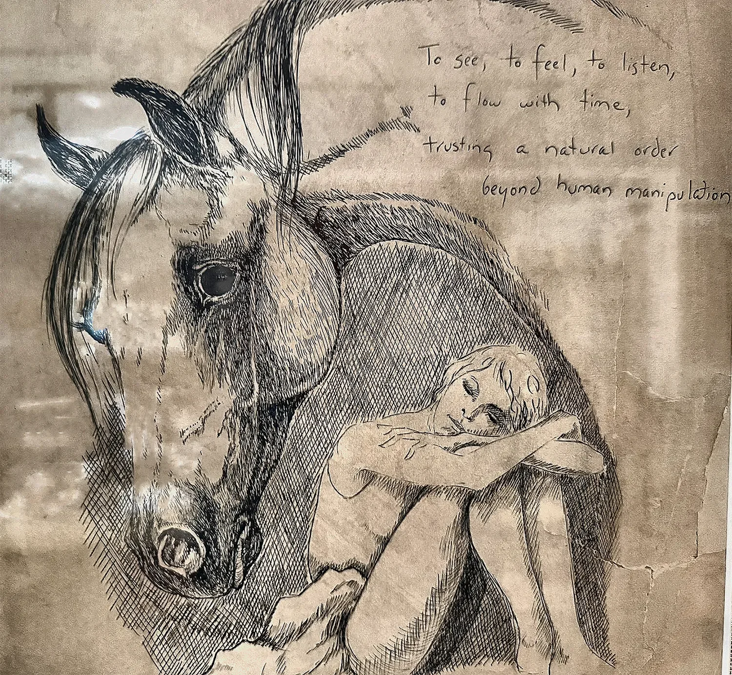 aA detailed sketch of a horse's head and a child hugging its neck, with a handwritten quote in the upper right corner that reads: "To see, to feel, to listen, to flow with time, trusting a natural order beyond human manipulation."
