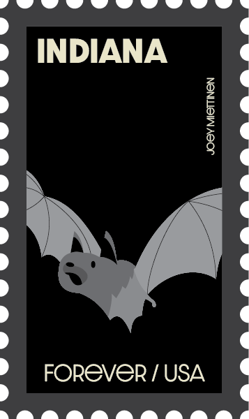 Asset 22@300x.png