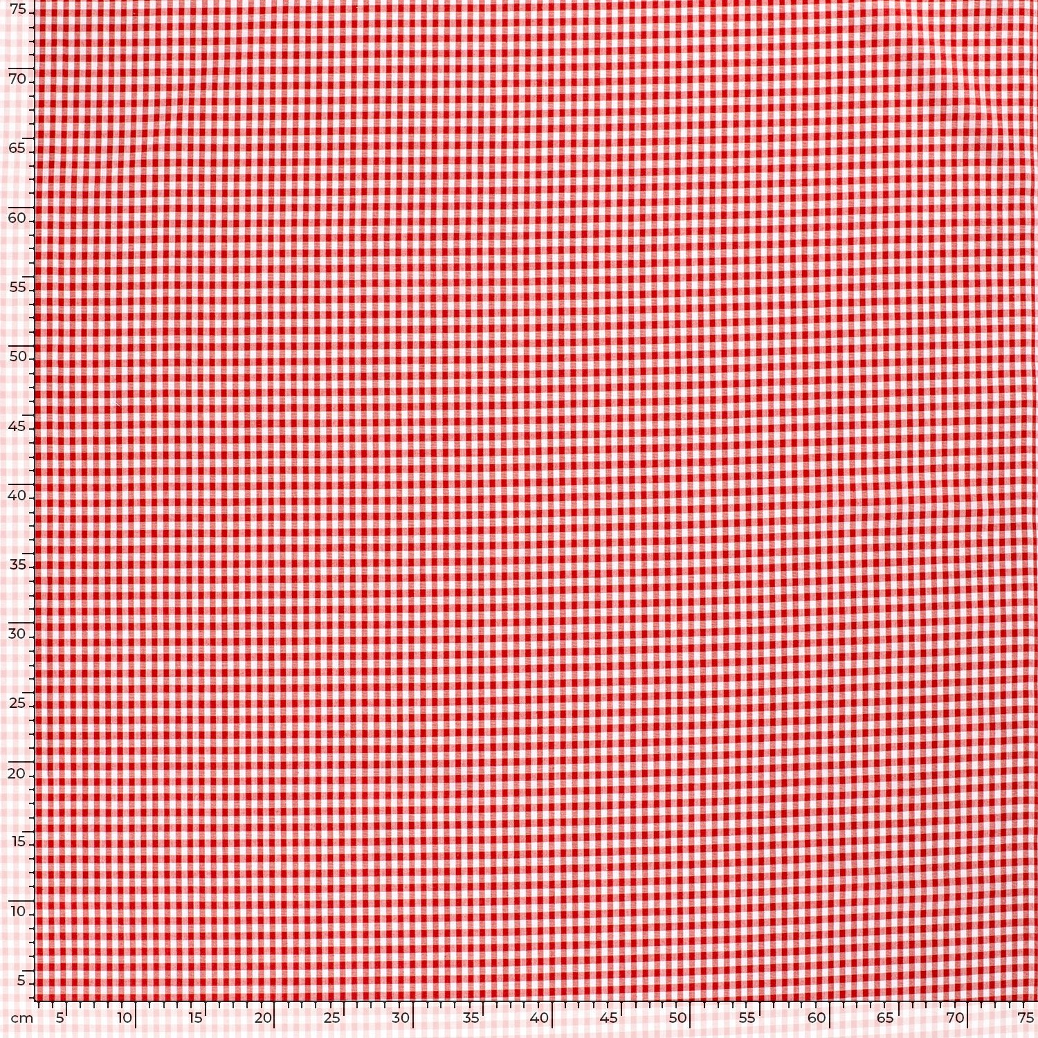 5582C-Red (1).jpg