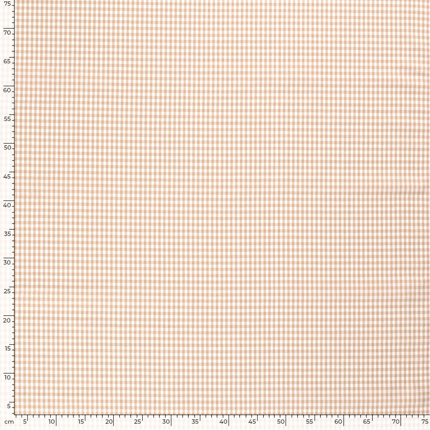 5582C-Beige (1).jpg
