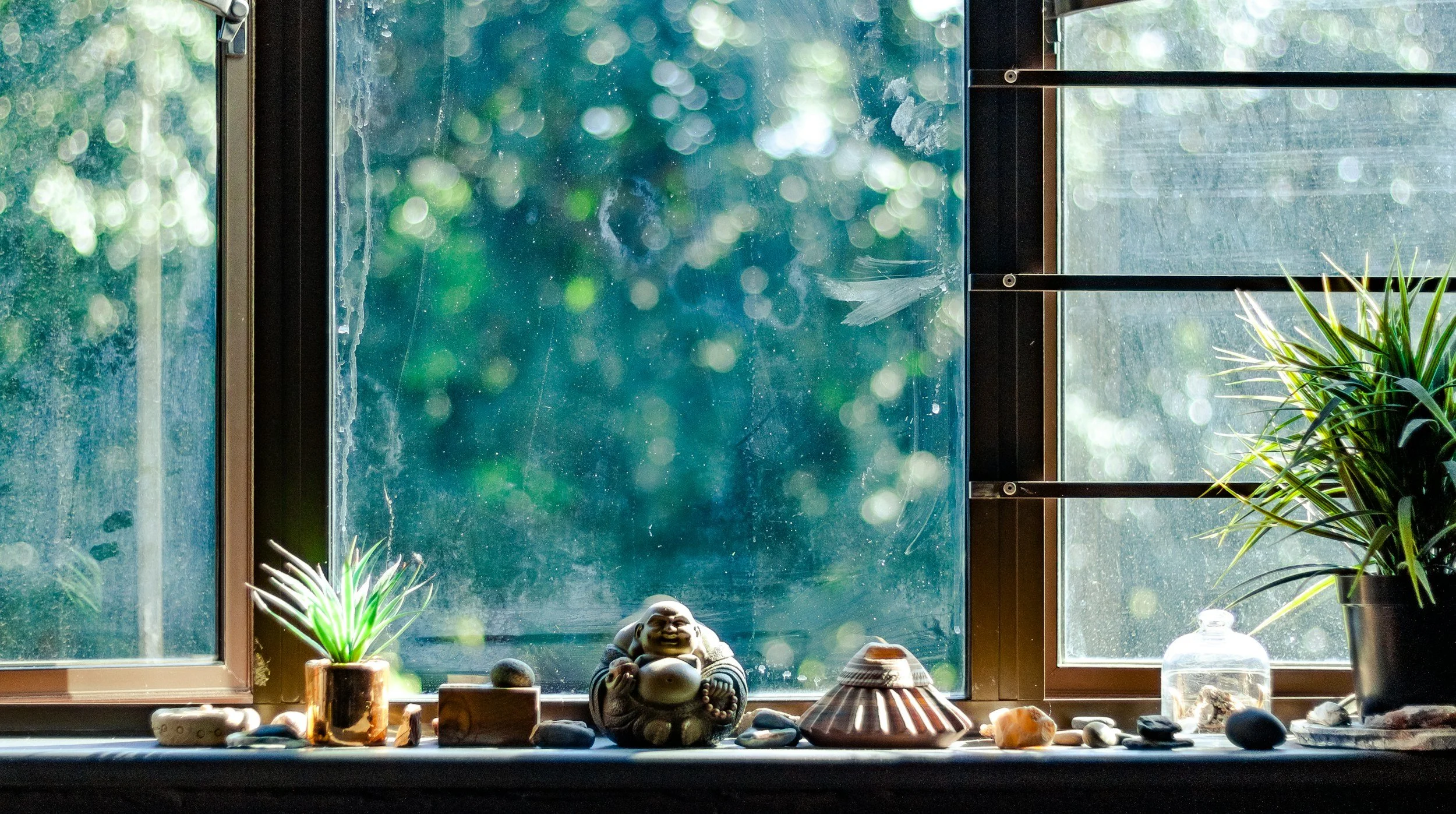 A windowsill with various decorative items, including potted plants, a Buddha statue, shells, rocks, and a glass jar, with the outside view blurry and green.