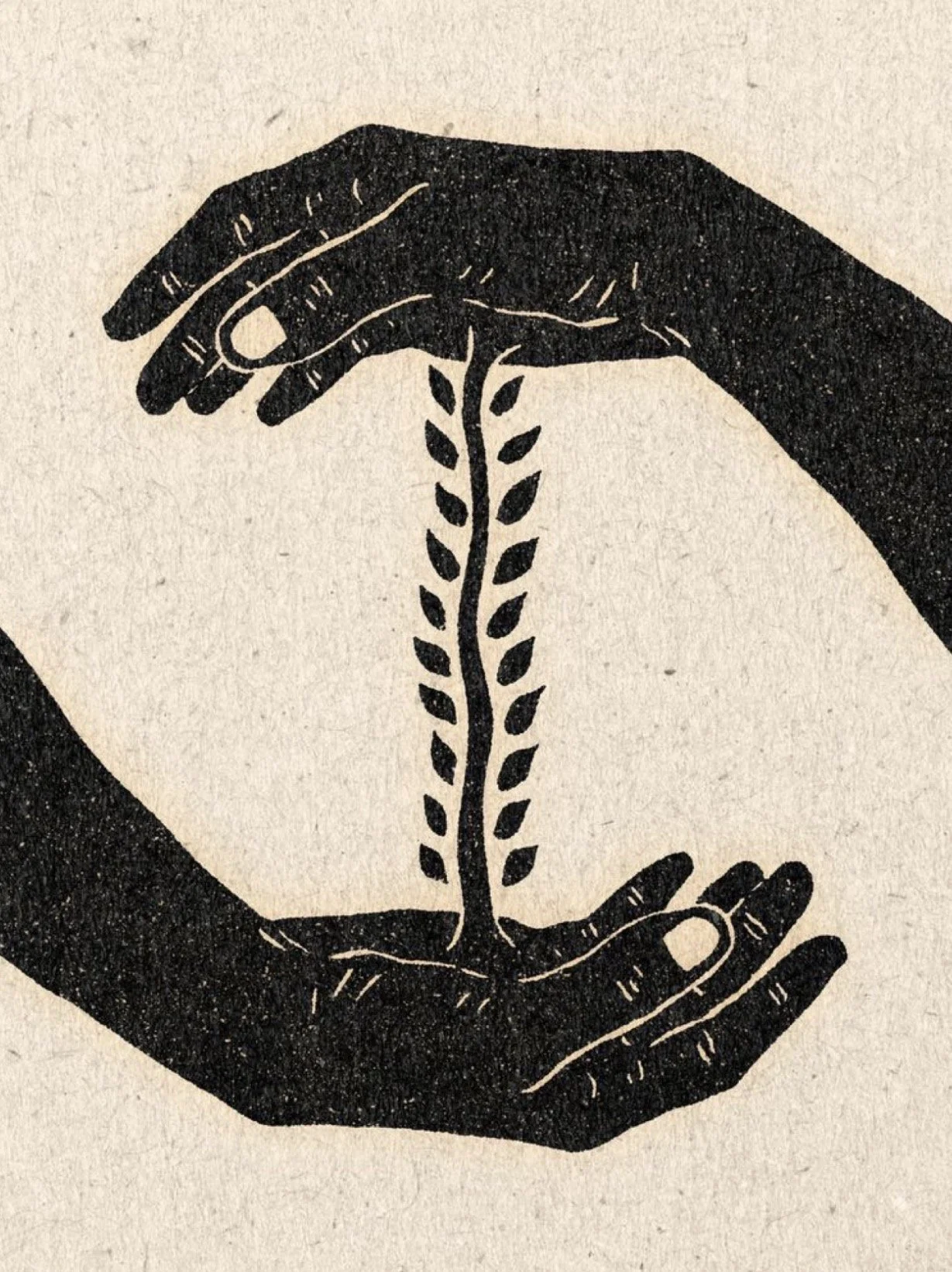 A black and white illustration of two hands surrounding a small sprouting plant, symbolizing growth and nurturing.