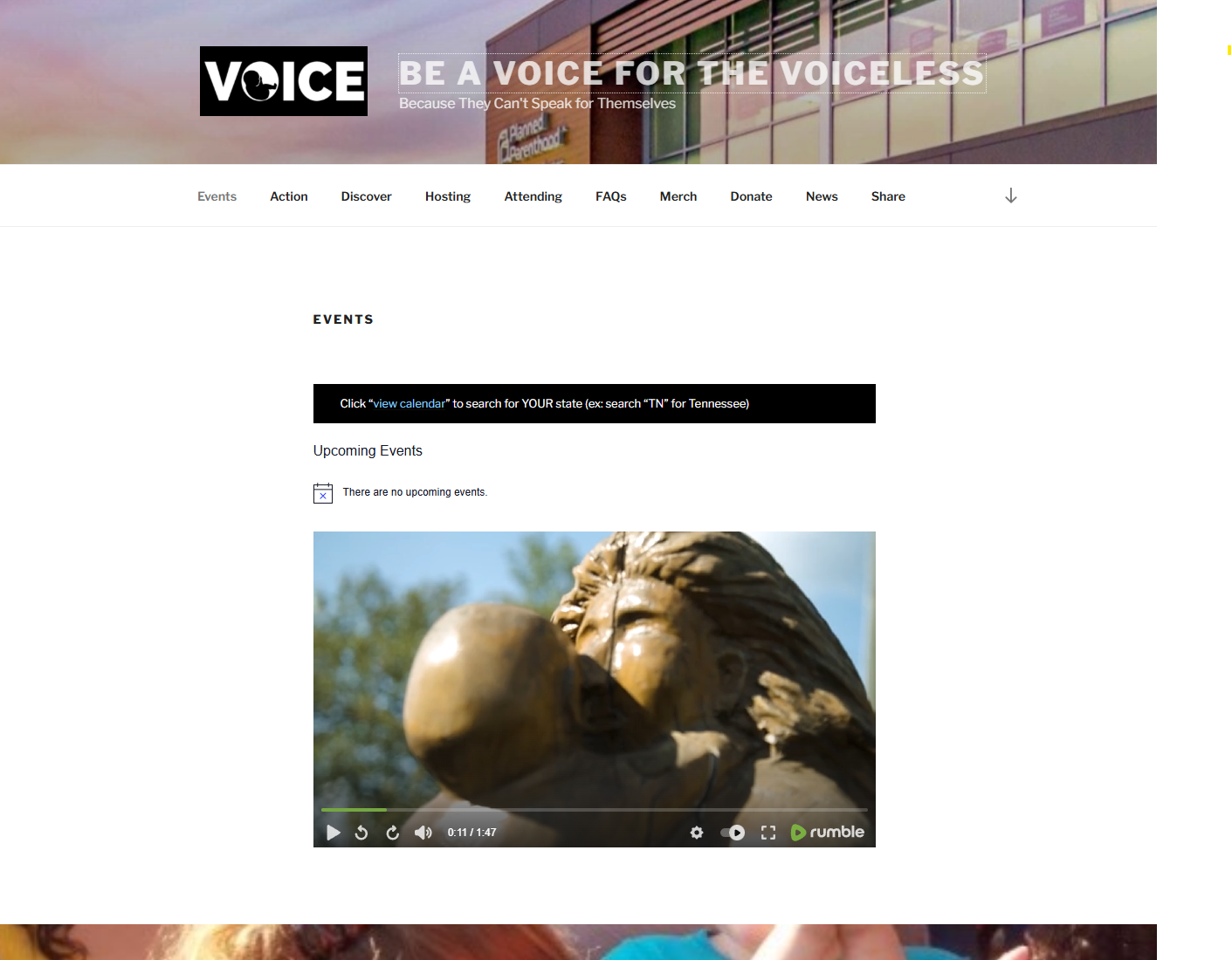 voice4thevoiceless