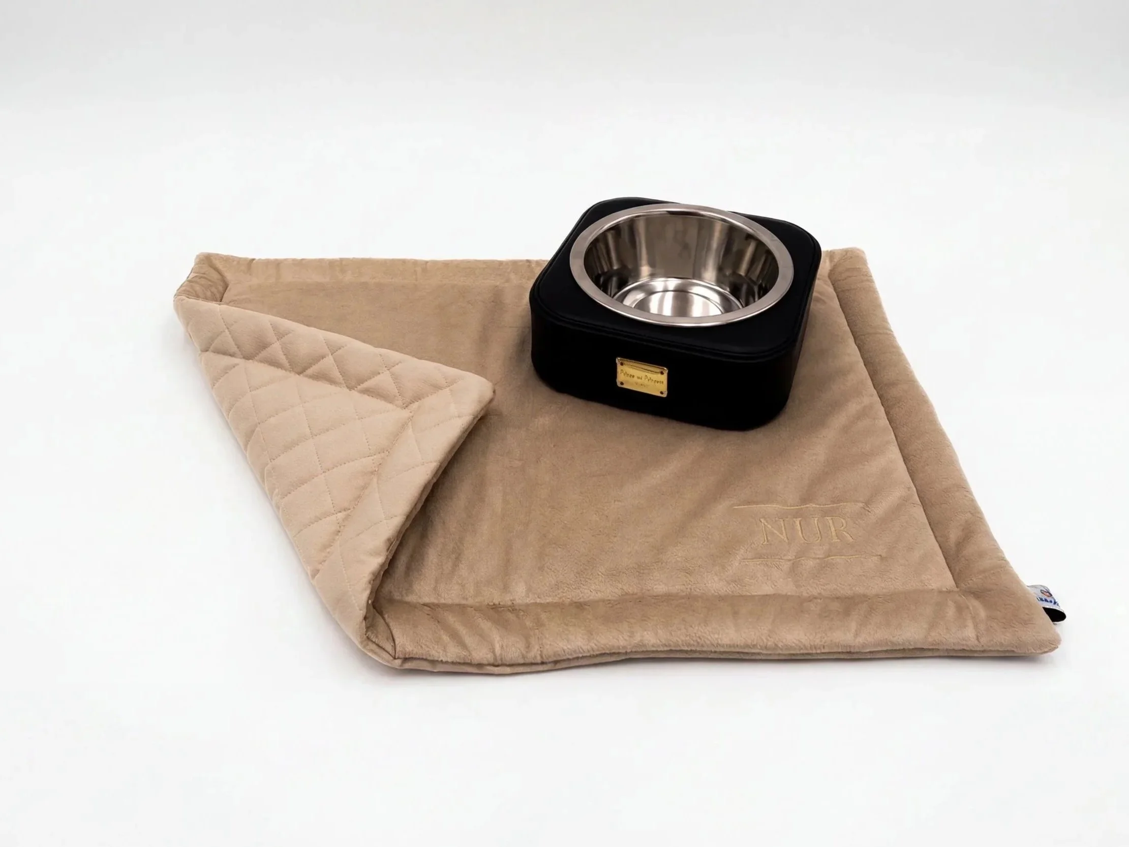 Gatto sulla cuccia con ciotola bianca con bordo nero e una coperta beige.
