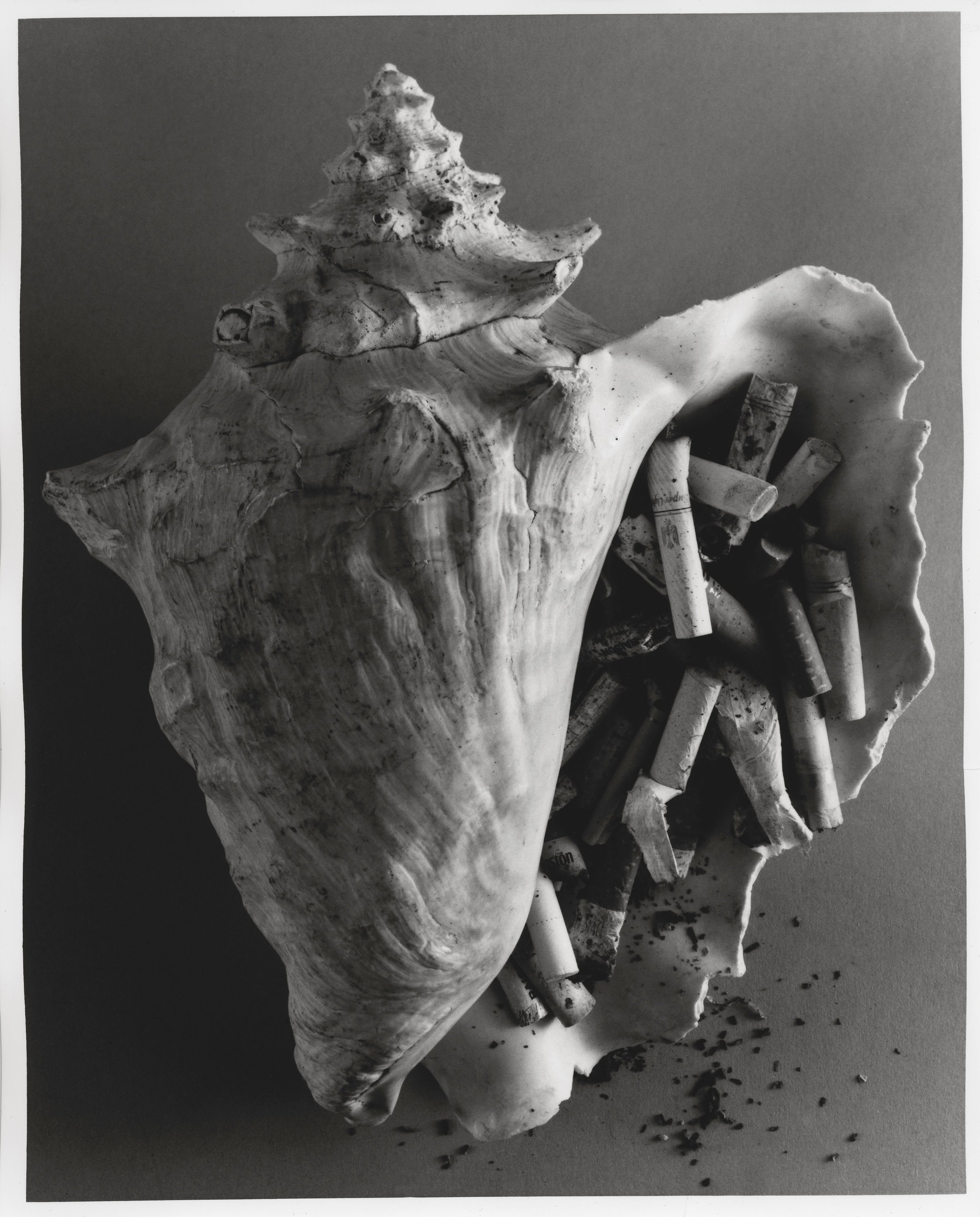 Serrano_20250226_Shell_and_Cigarettes copy3 copy.jpg