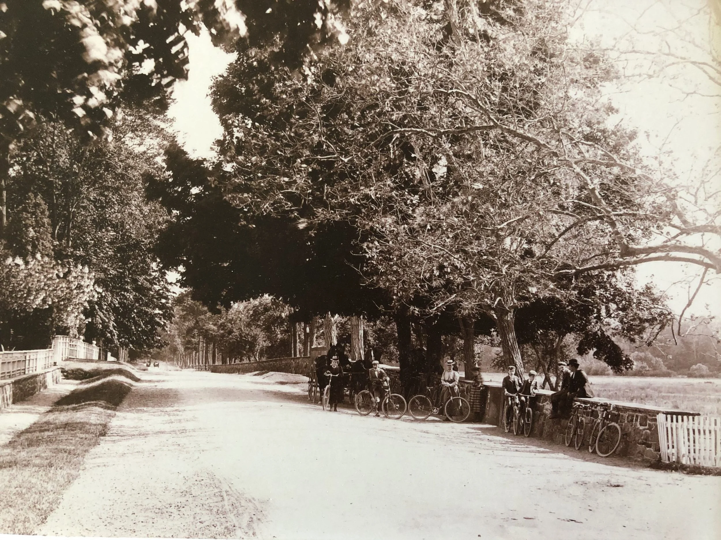 Historic black and white photograph of a shaded residential street in Ridgewood, NJ, with pedestrians and bicycles leaning against a stone wall.