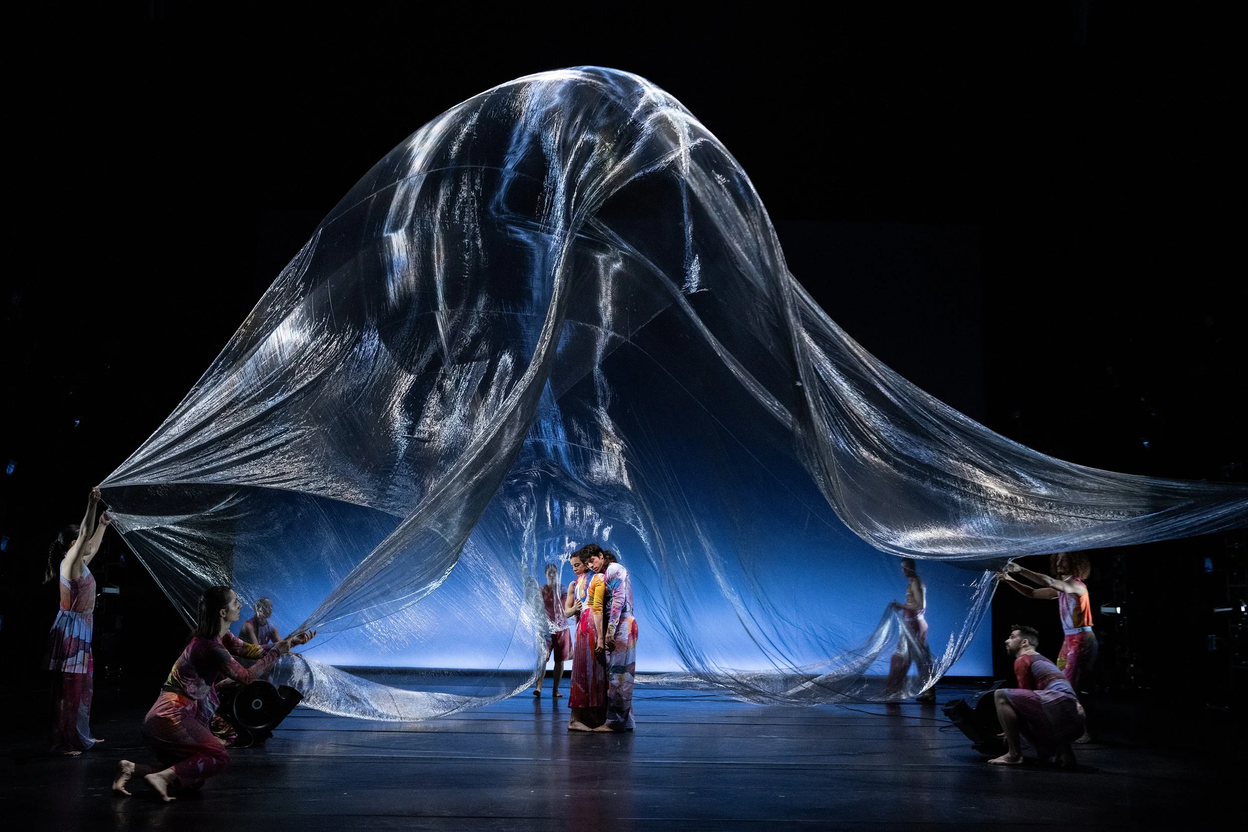 Bodies of Water (Excerpt)