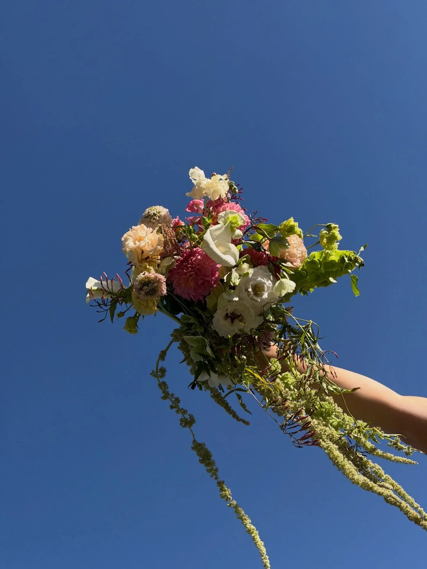 alex x braeden | 03.07.26 💘

@alexc.films 
@thenardinimanor 
@milnerfloralco 
@alwaysforeverfilms + @doughwanders 
@filmsbyry + @clickedbycarly 
@kennamakescake