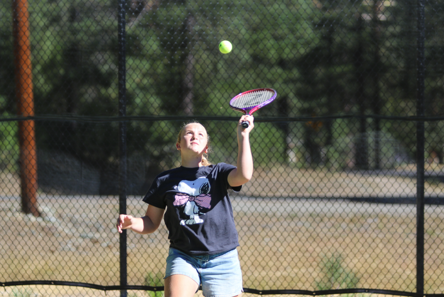 TENNIS1.png