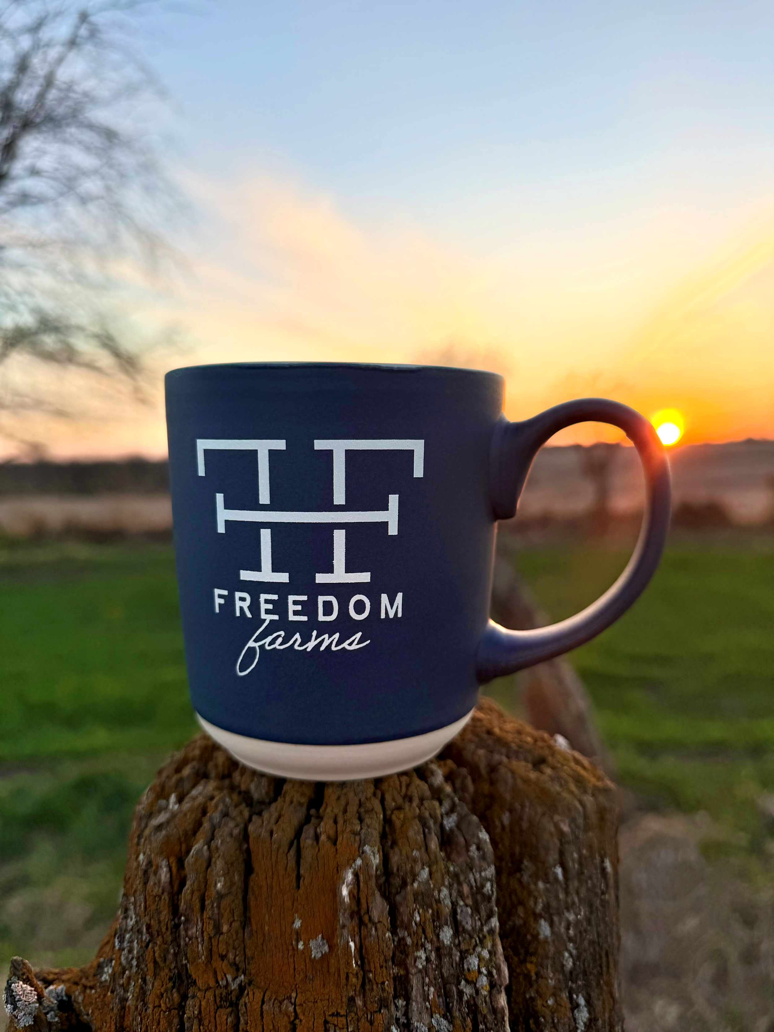 Freedom Mug