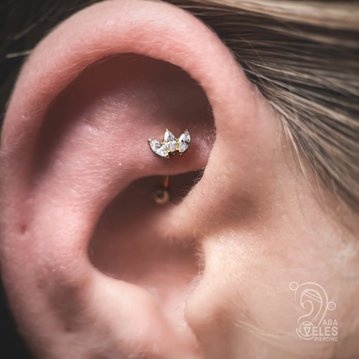 Fresh rook ✨

We went for a cute decorative marquise top, anodised to gold 💛
I can&rsquo;t stop looking at this one &mdash; it suits her ear so well 😍💫

#rookpiercing #cartilagepiercing #goldanodised #piercingjewellery #piercing