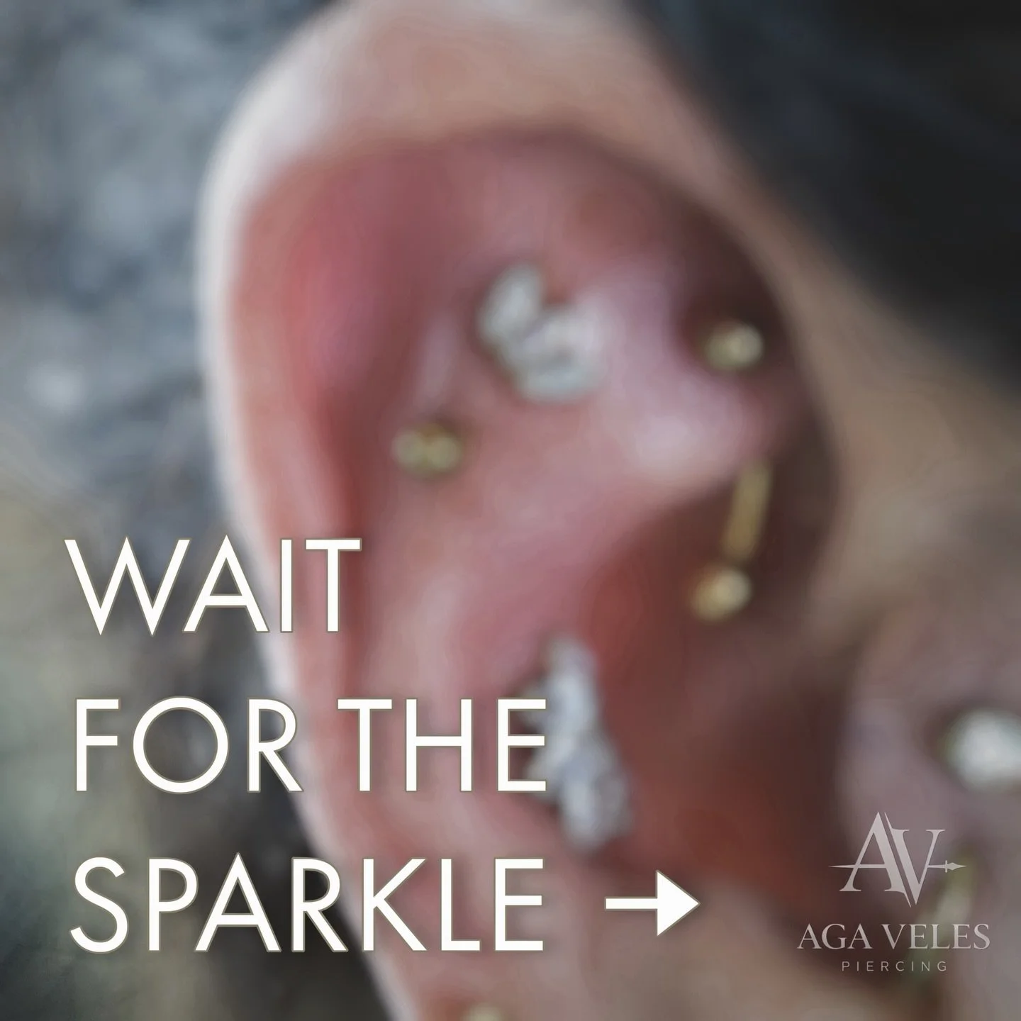 𝕋𝕙𝕖 𝔸𝕔𝕔𝕚𝕕𝕖𝕟𝕥𝕒𝕝 𝔾𝕝𝕠𝕨-𝕦𝕡 ✨

She actually only came in to get a hoop changed for her boyfriend! But gold looks so incredible on her that we just kept going.l 😅
We ended up adding a second tragus to her existing one (what?!), two fres