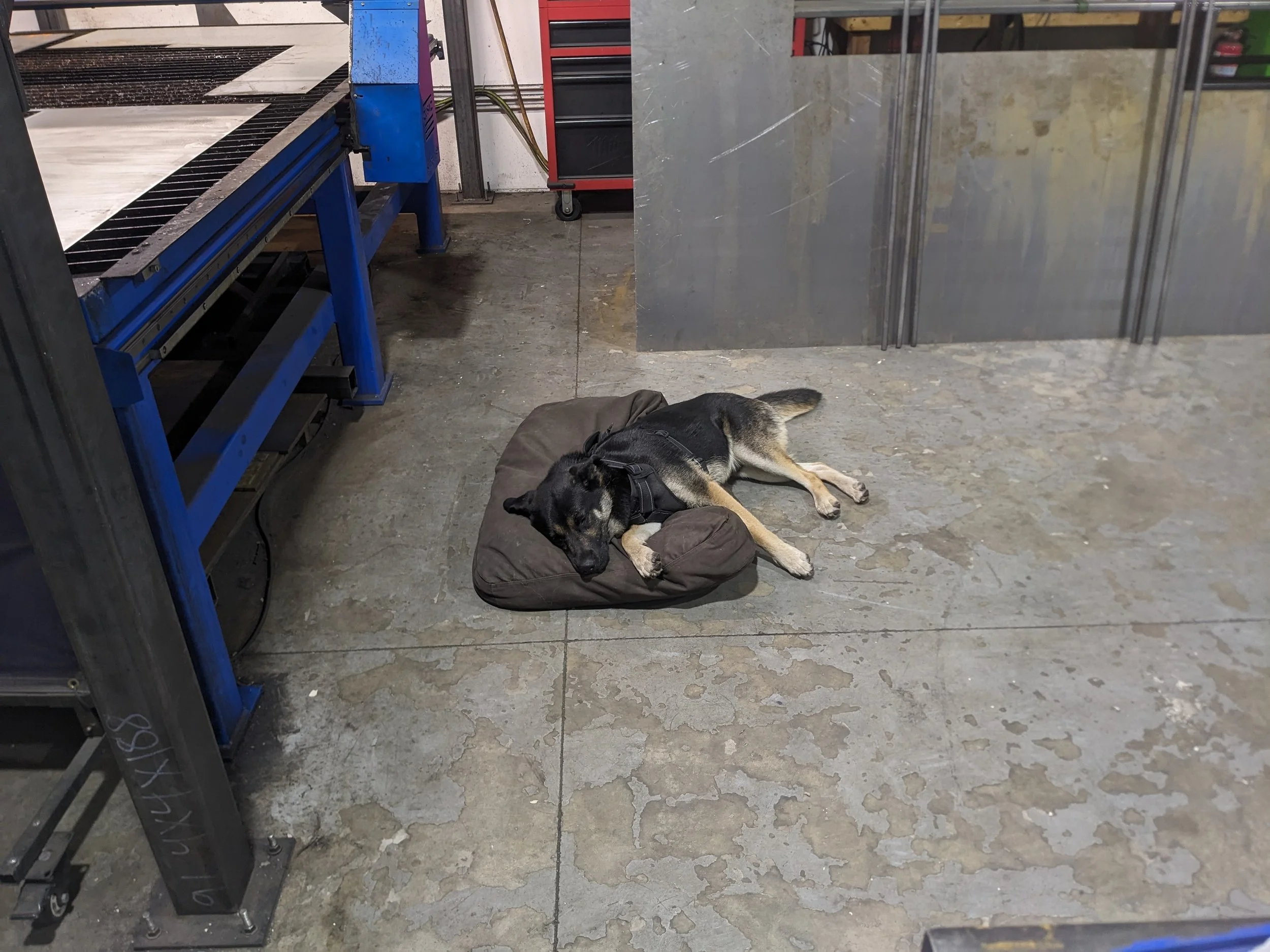 A black and tan dog sleeping on a brown dog bed on a gray concrete floor in an industrial workshop setting.