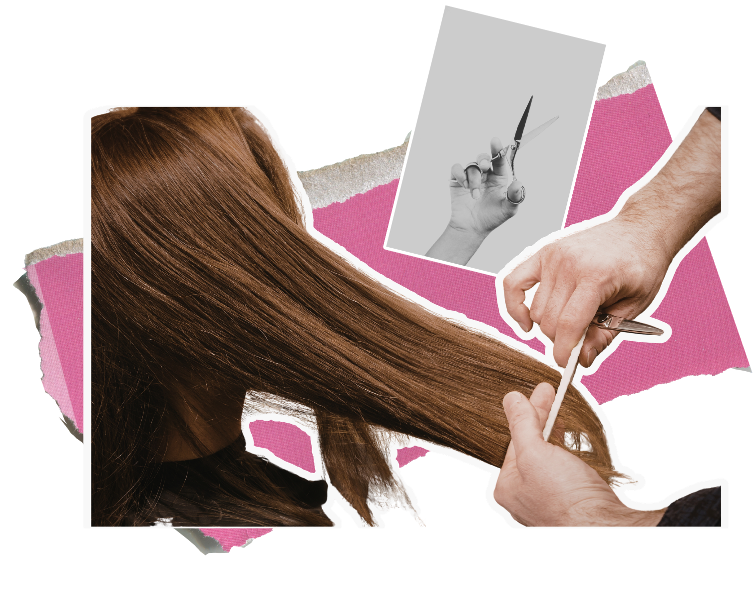 Women's Signature Haircut