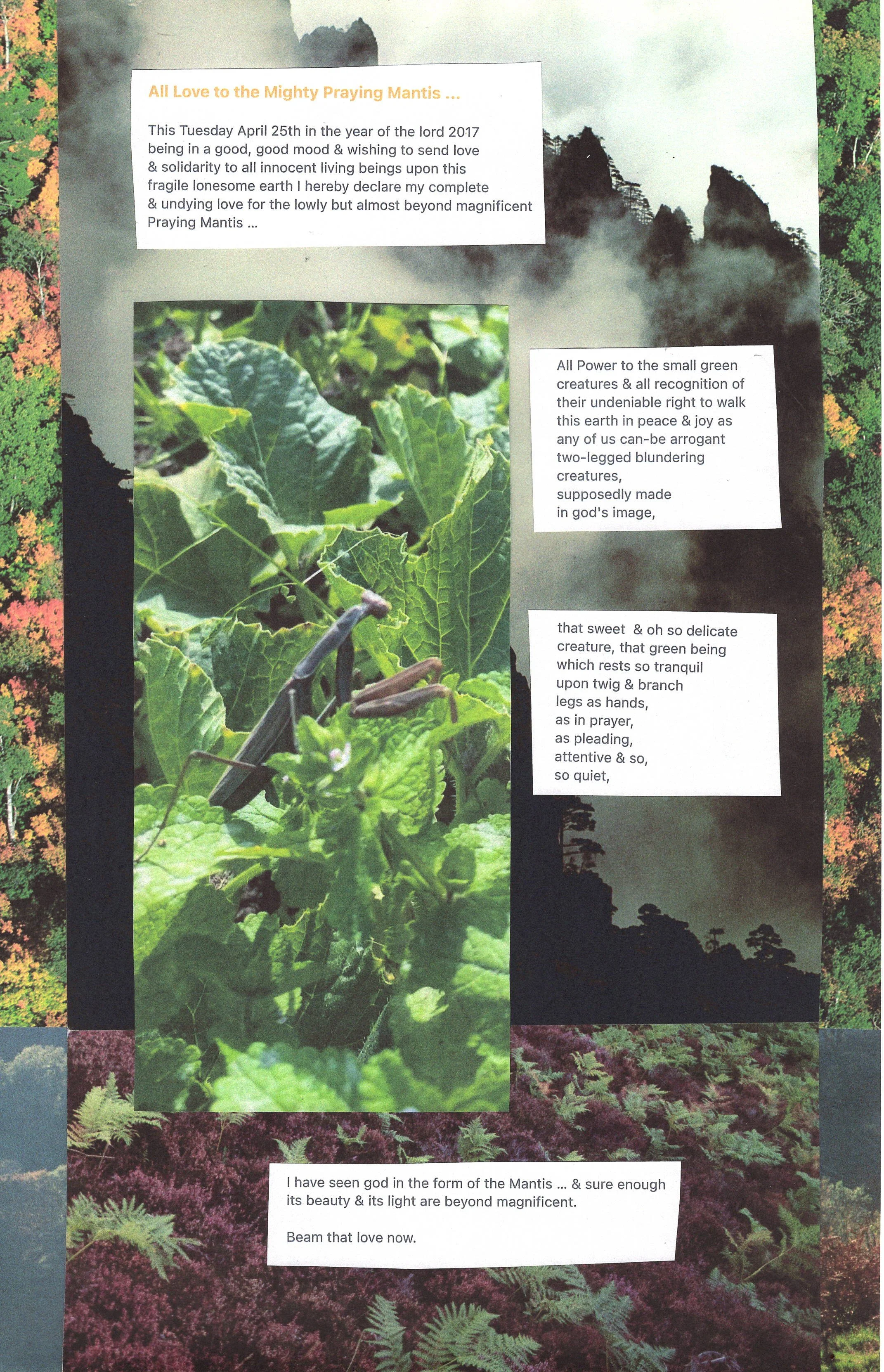 Scan 123.jpeg