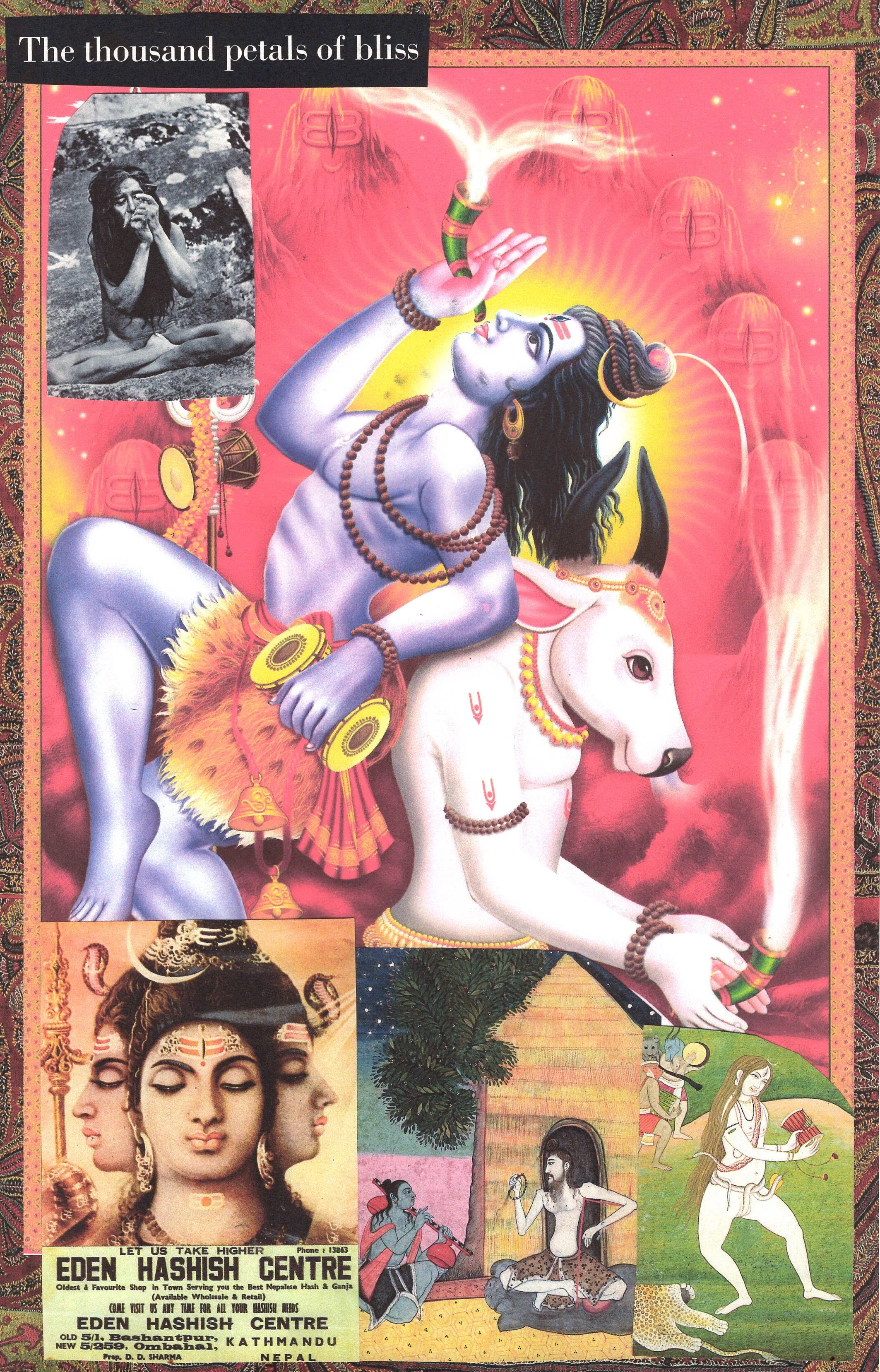 Scan 136.jpeg