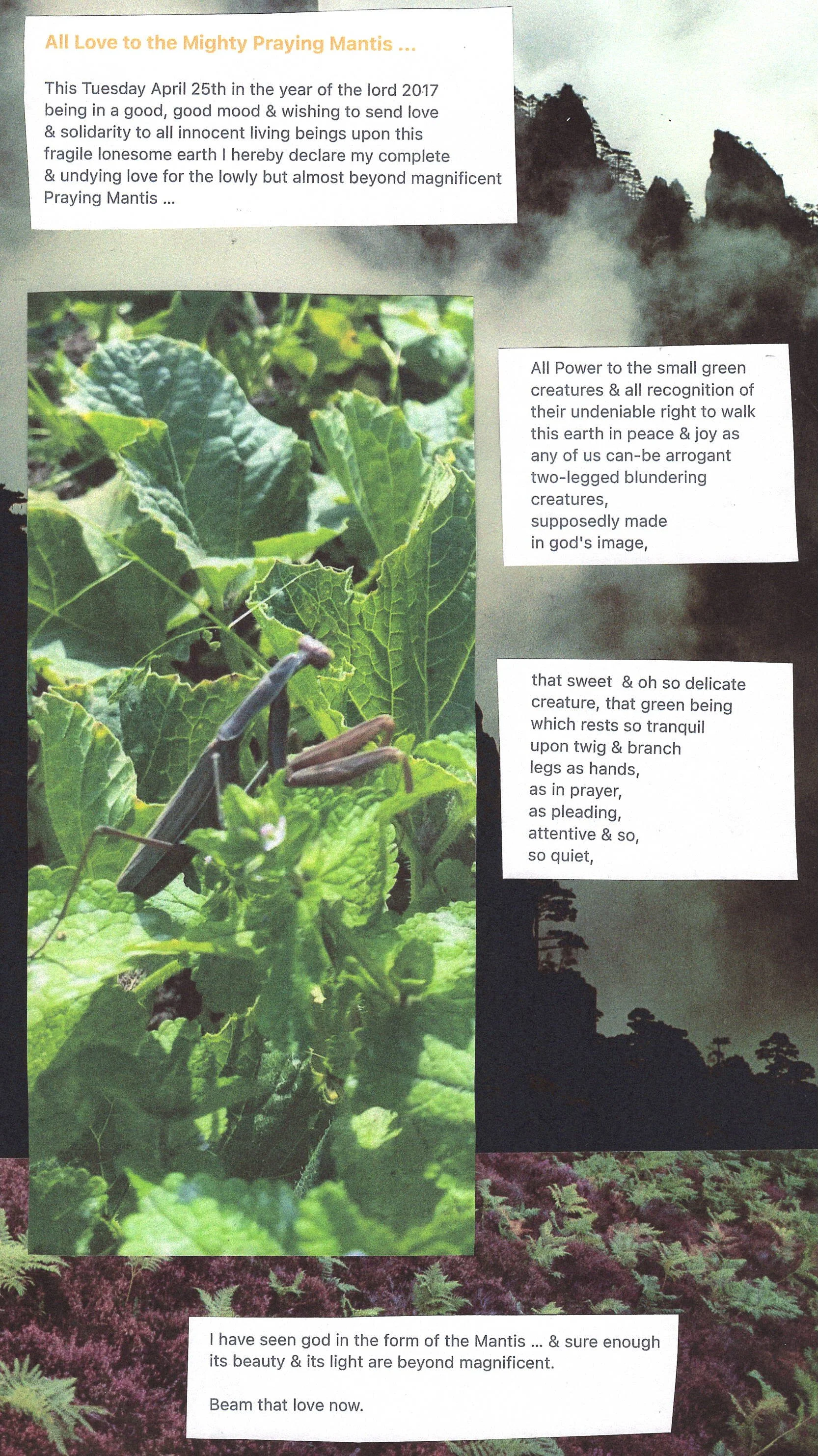 Scan 124.jpeg